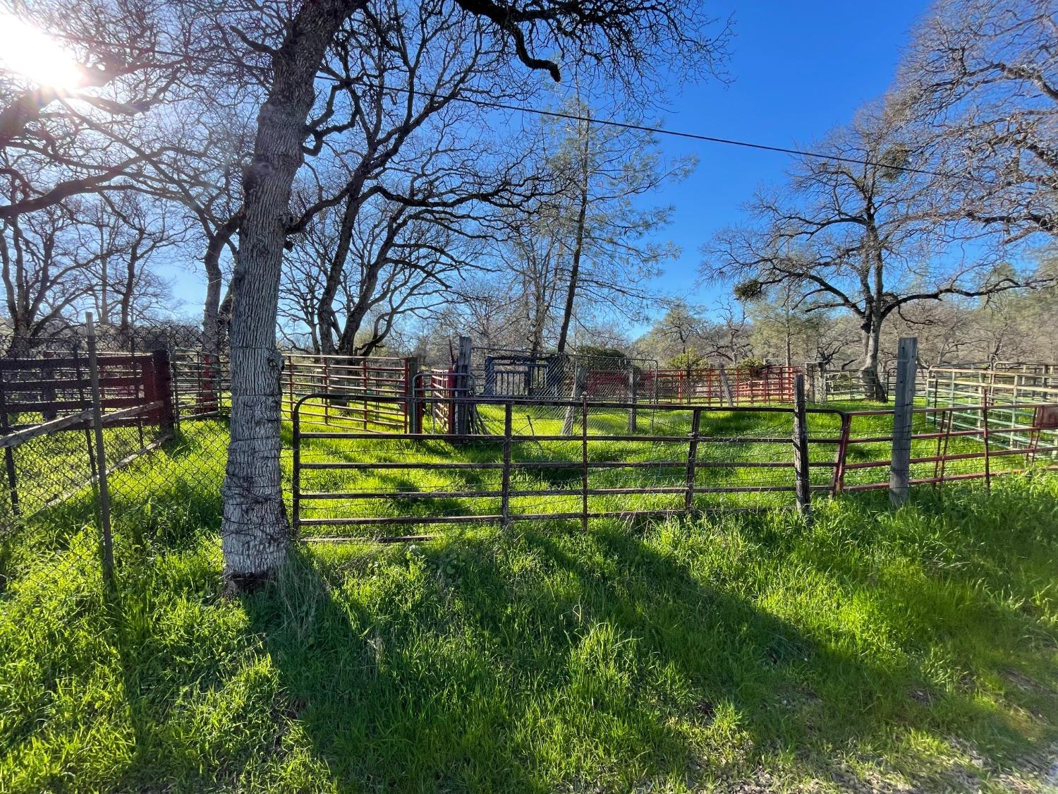 Detail Gallery Image 19 of 21 For 0 Airola Road, Vallecito,  CA 95251 - – Beds | – Baths