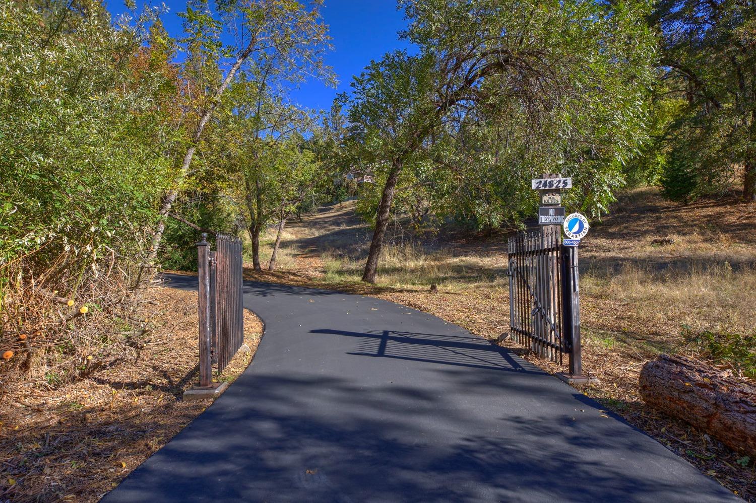 Mosquito Ridge Road, Foresthill, California image 5