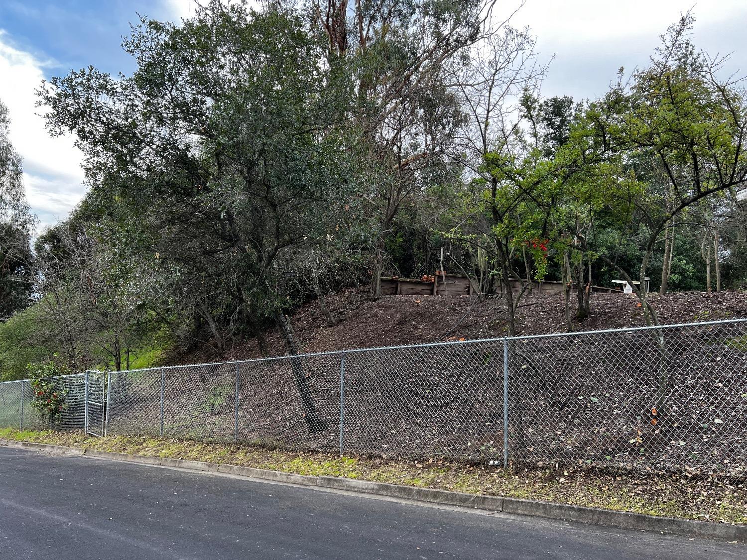 Surmont Drive, Lafayette, California image 3