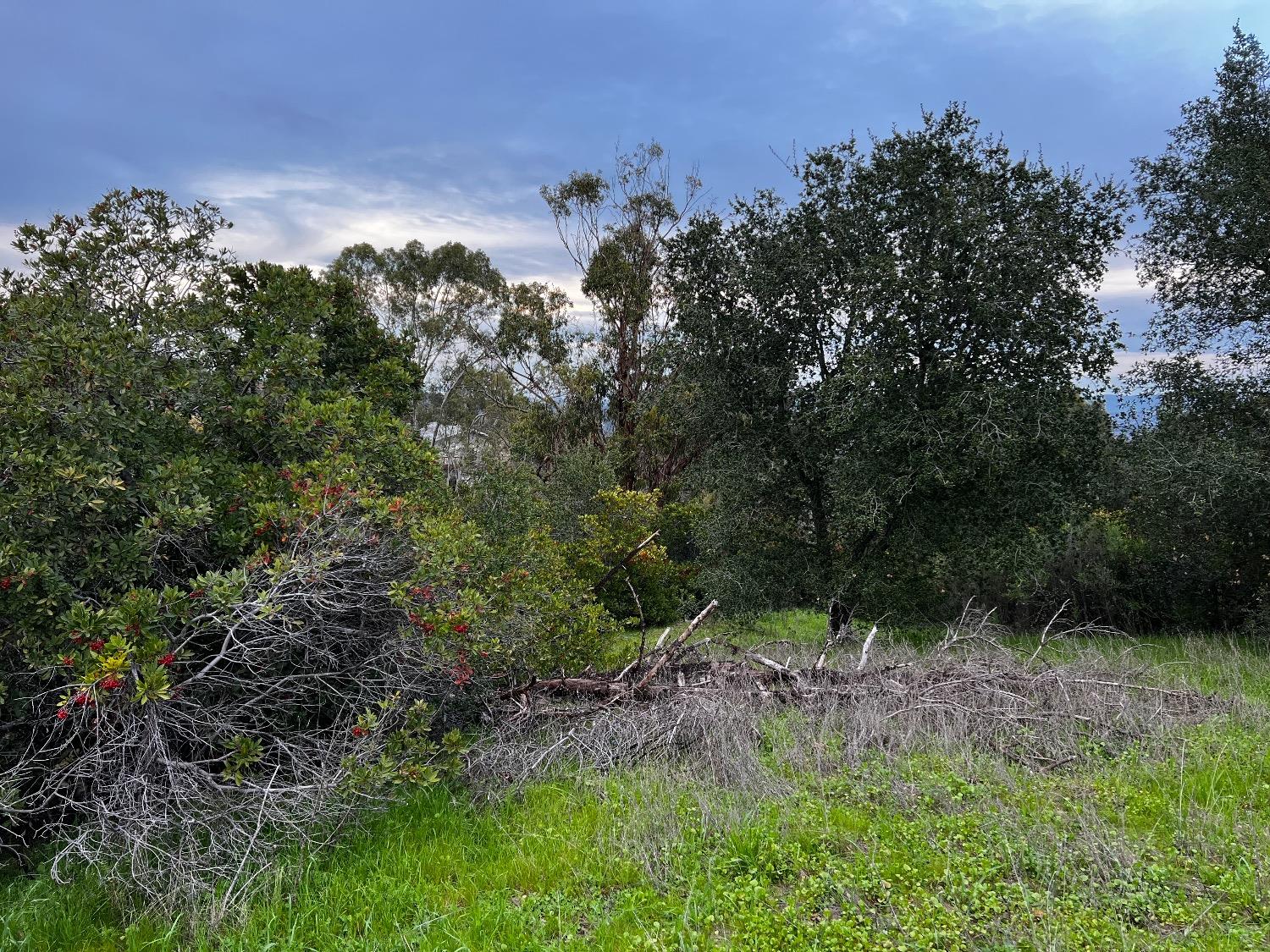 Detail Gallery Image 35 of 38 For 3194 Surmont Dr, Lafayette,  CA 94549 - 4 Beds | 2/1 Baths