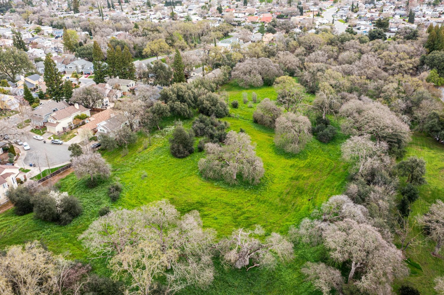 Van Maren Lane, Citrus Heights, California image 12