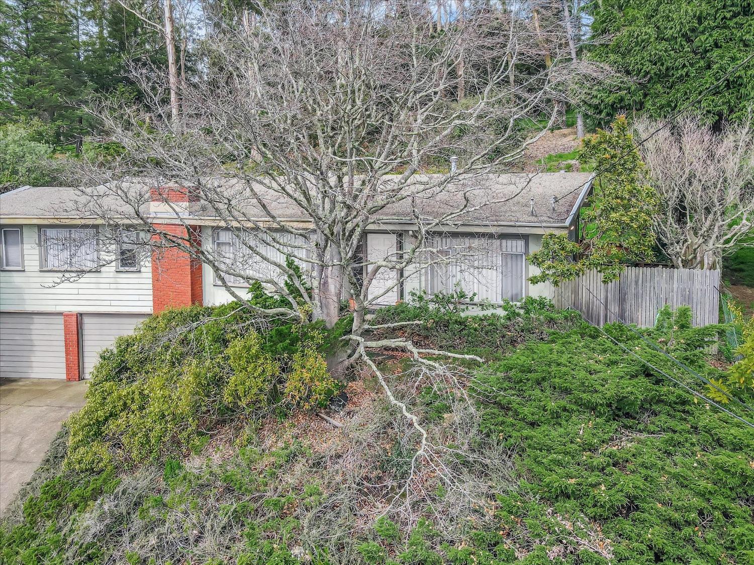 Don Carol Drive, El Cerrito, California image 39