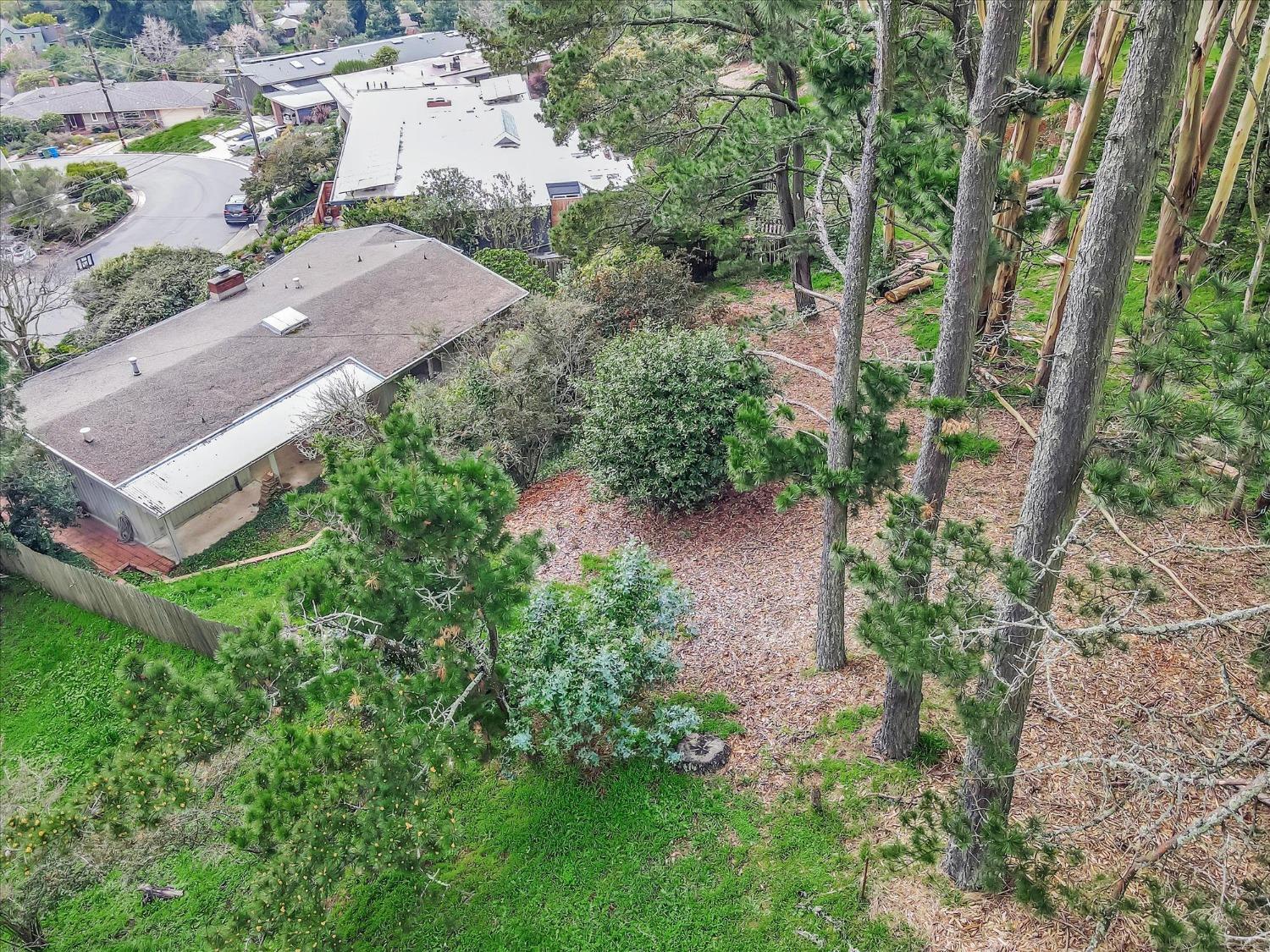 Don Carol Drive, El Cerrito, California image 50