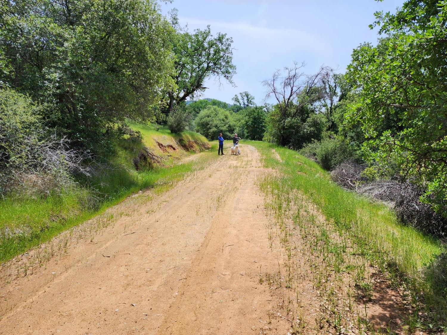 Rices Crossing Road, North San Juan, California image 8