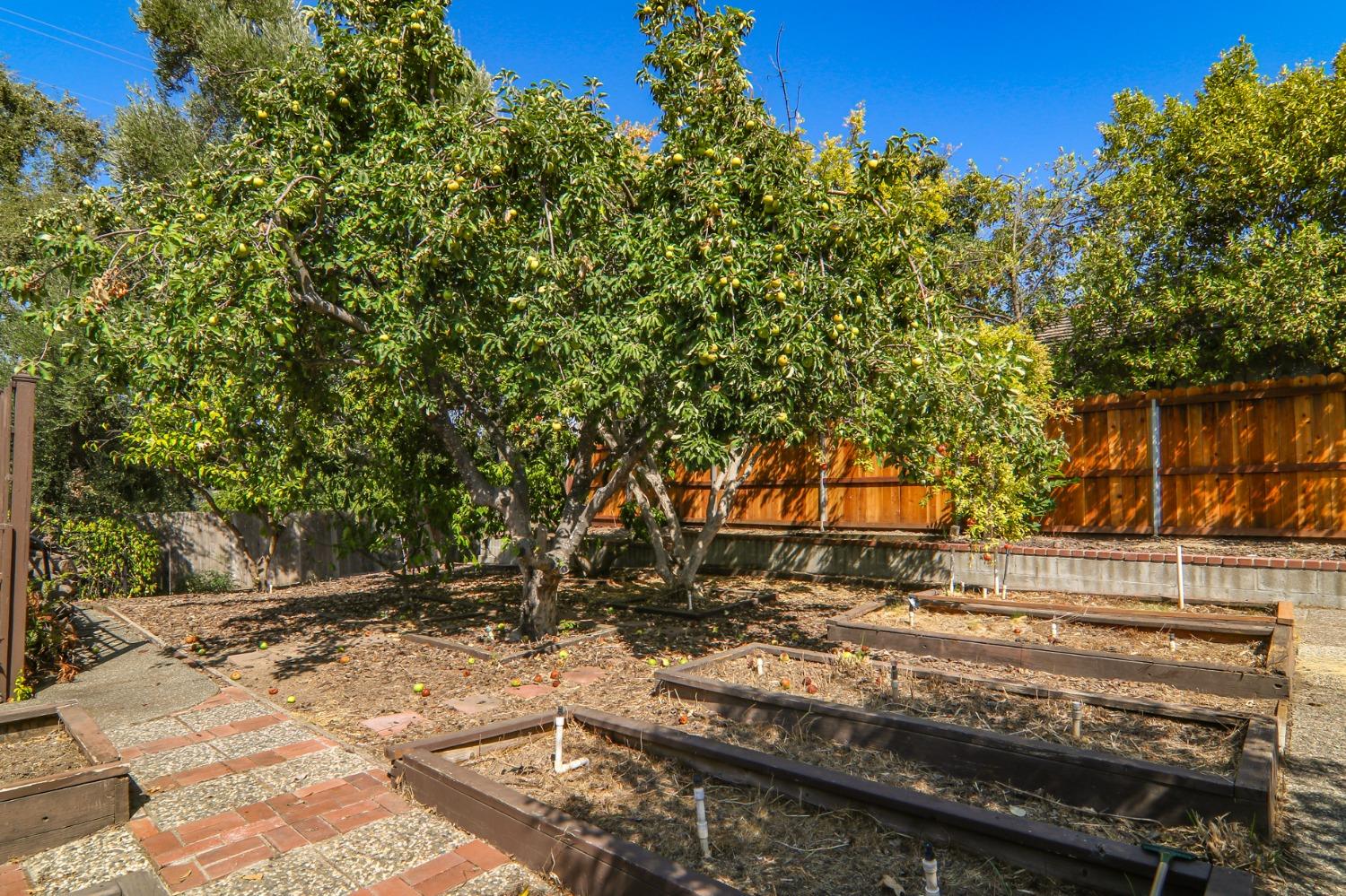 Detail Gallery Image 48 of 51 For 8117 Shangrila Dr, Fair Oaks,  CA 95628 - 4 Beds | 2/1 Baths