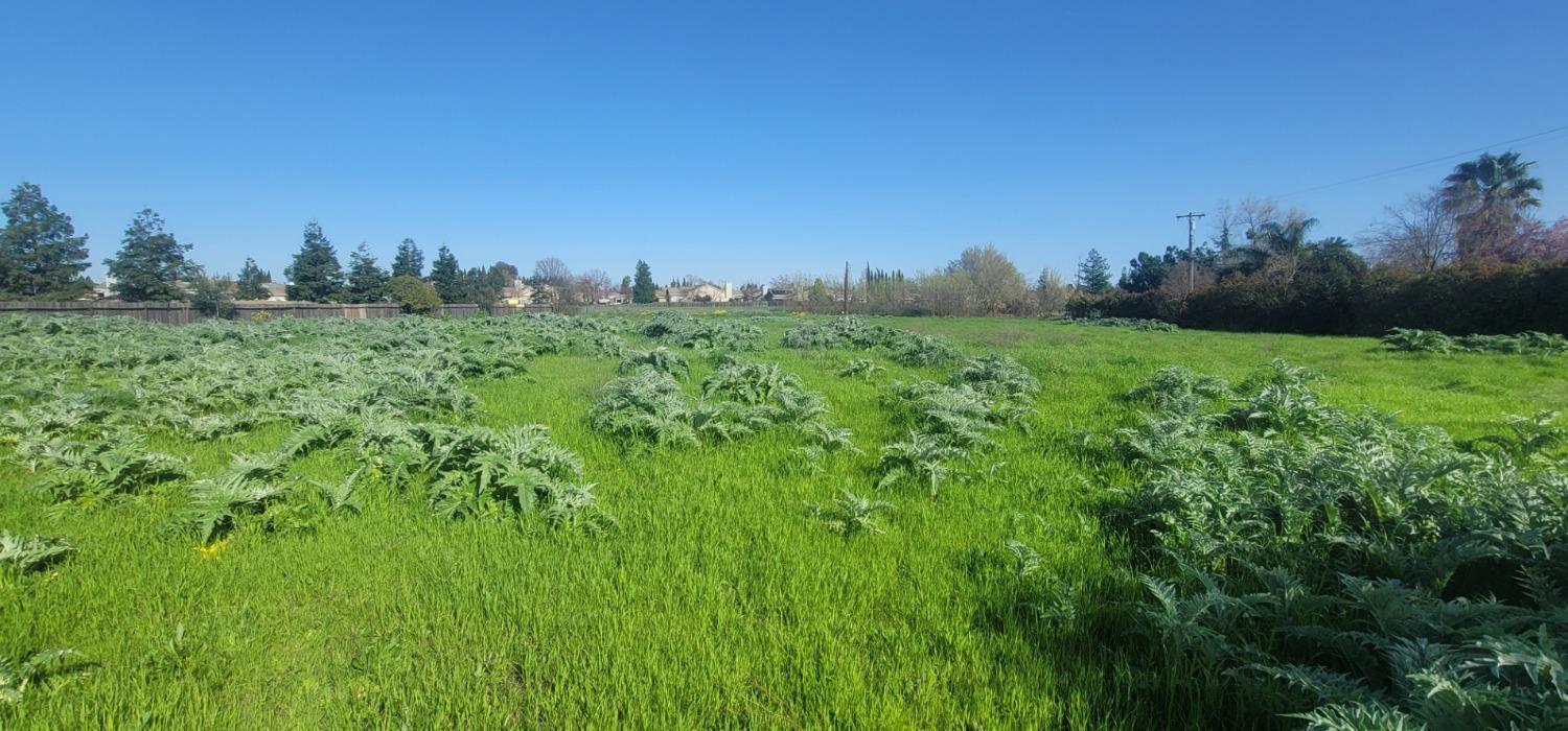 El Centro Road, Sacramento, California image 4