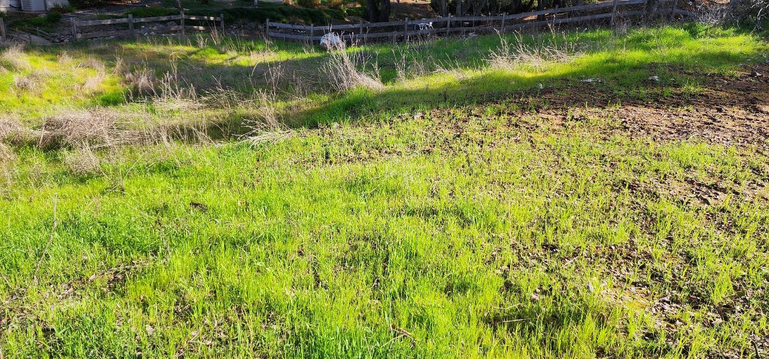 Mill Road, Angels Camp, California image 3