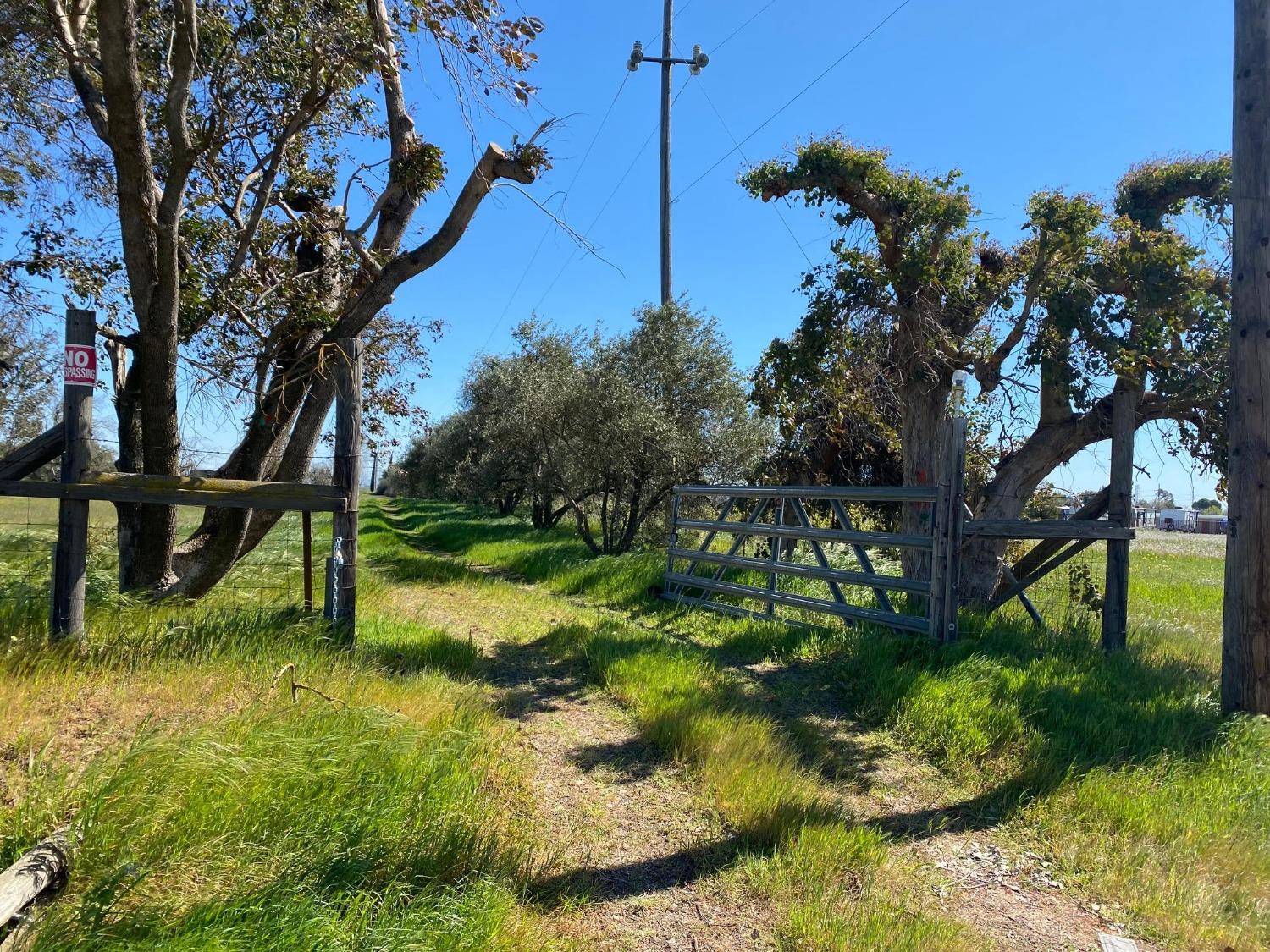 Pleasant Grove Road, Elverta, California image 9