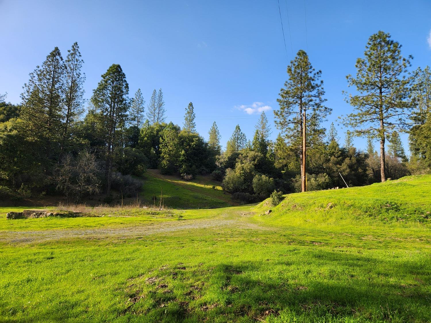 Zdolsek Place, Greenwood, California image 3