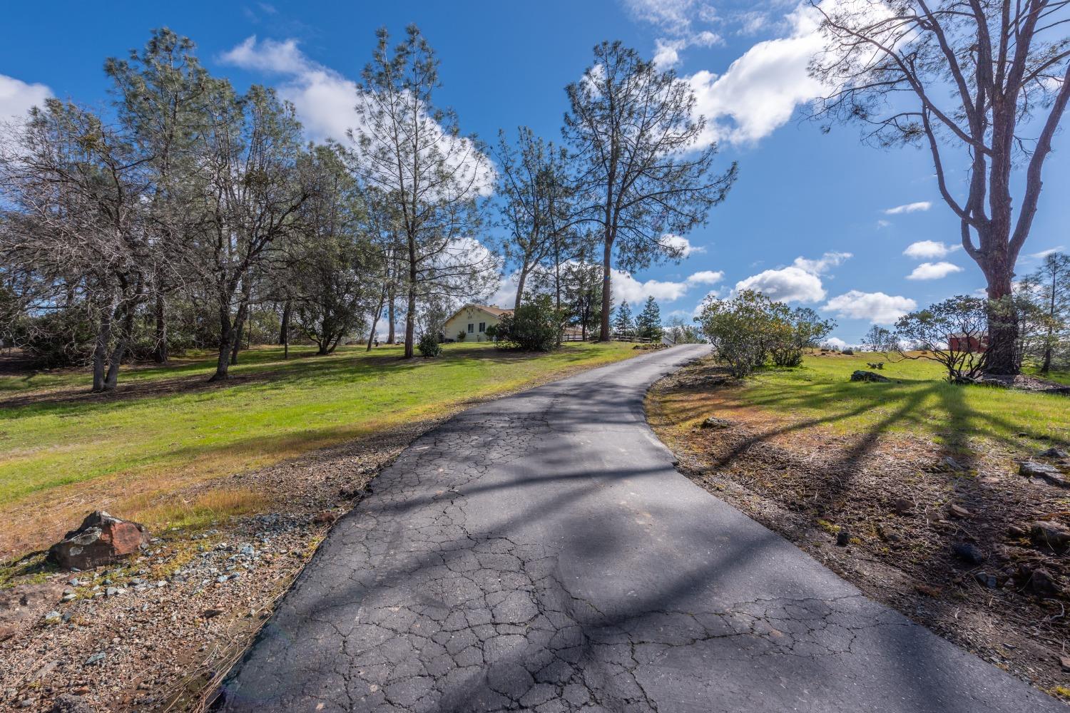 Josie Lane, Shingle Springs, California image 7