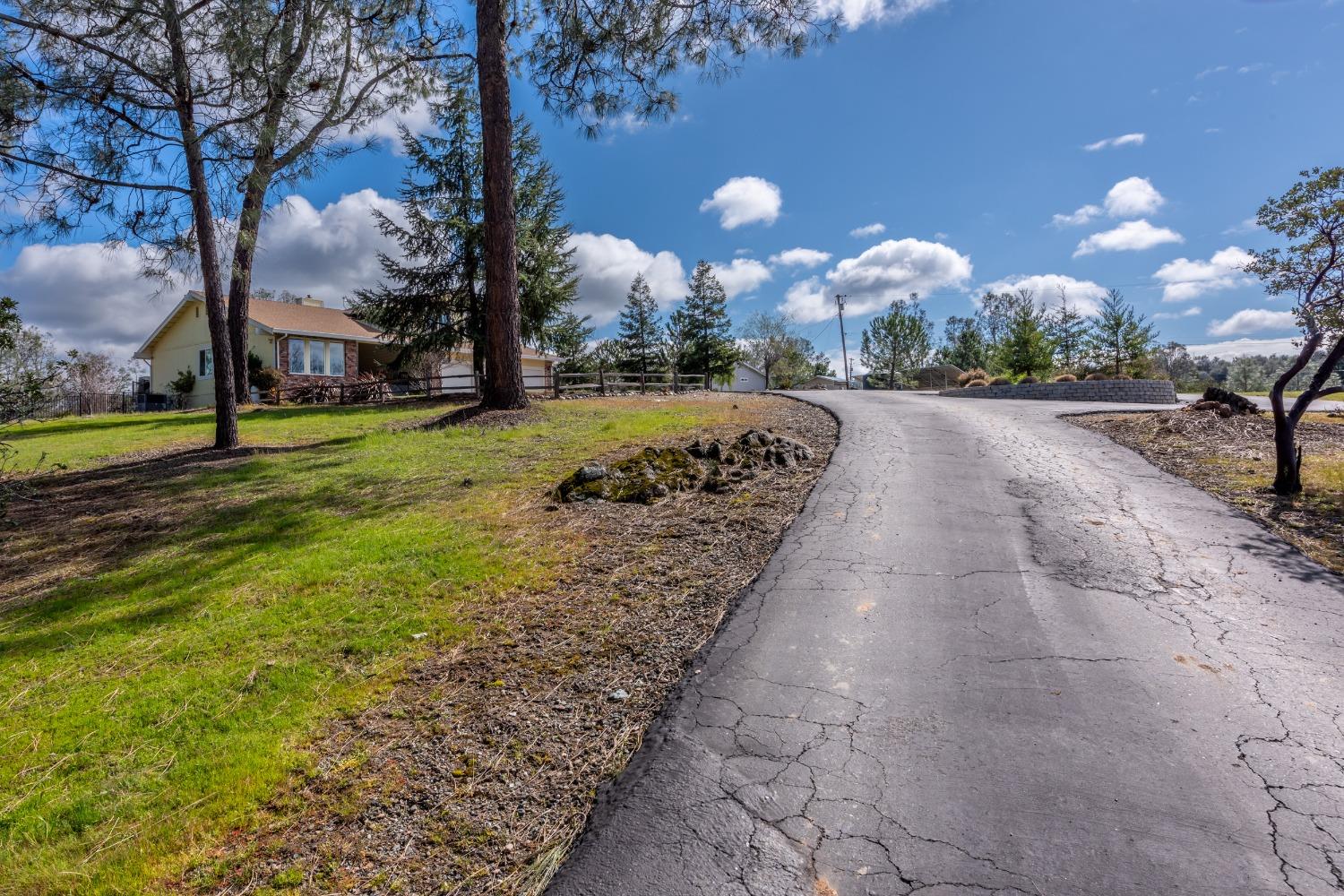 Josie Lane, Shingle Springs, California image 8