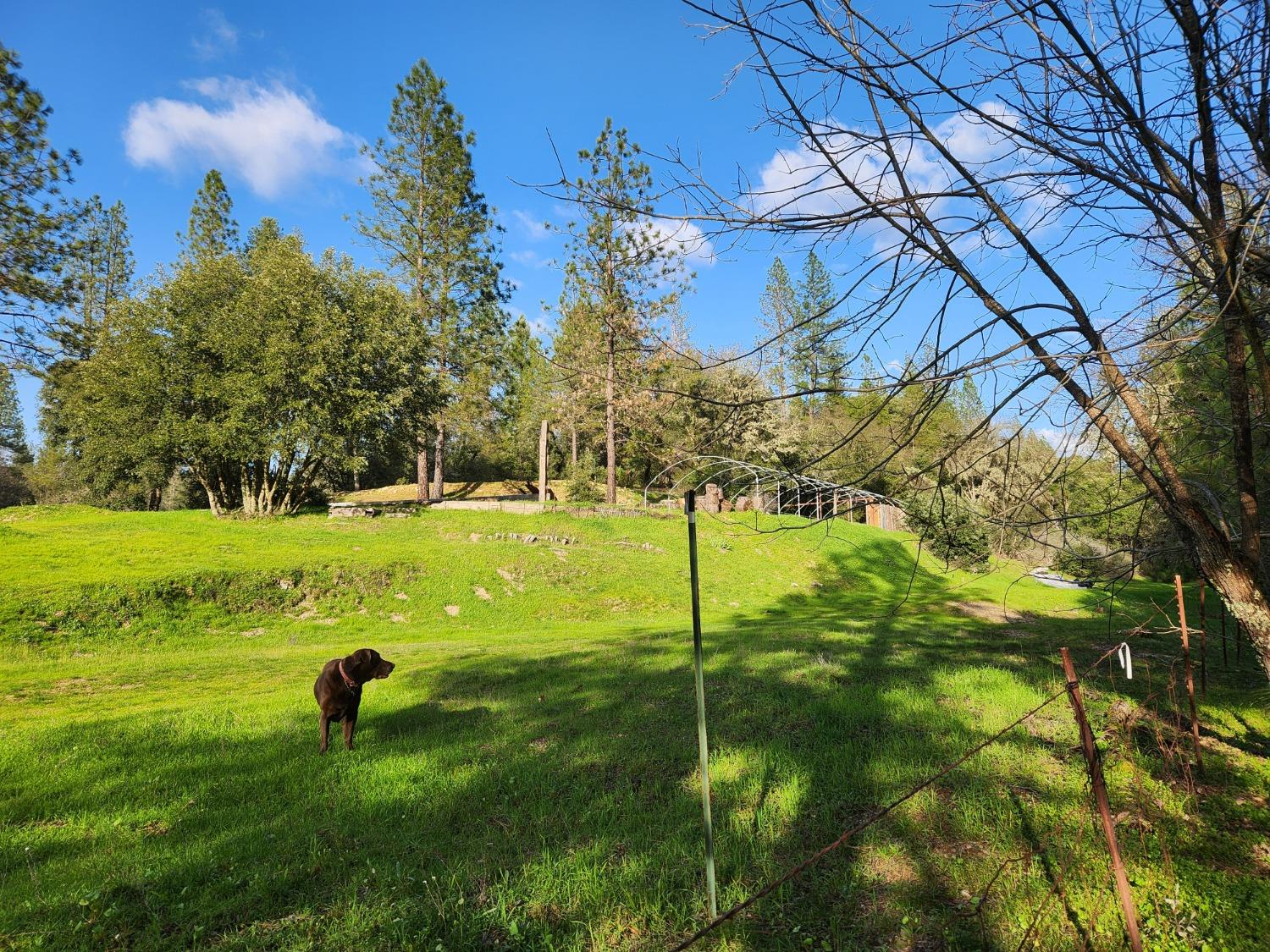 Zdolsek Place, Greenwood, California image 20