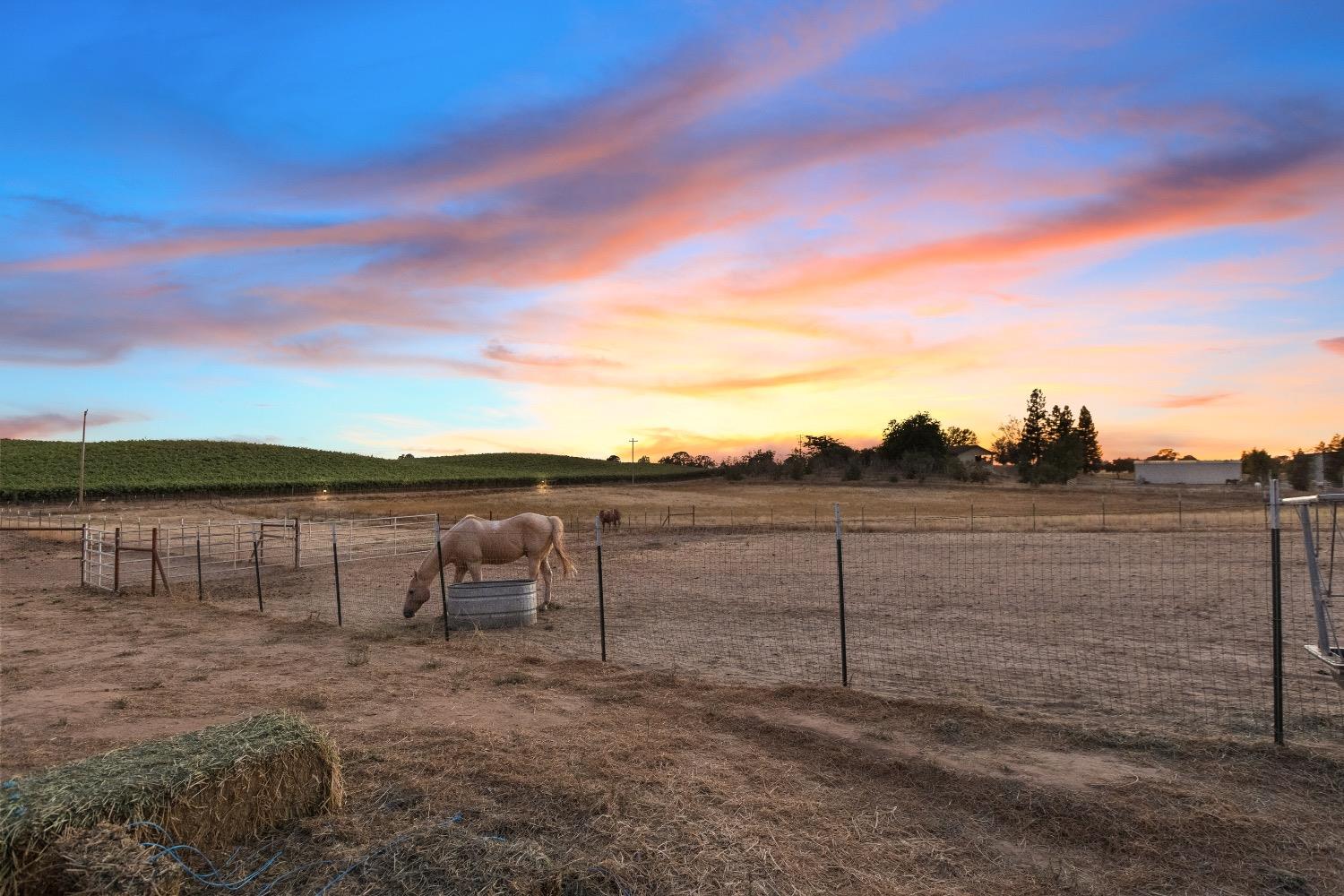 E Acampo Road, Clements, California image 49