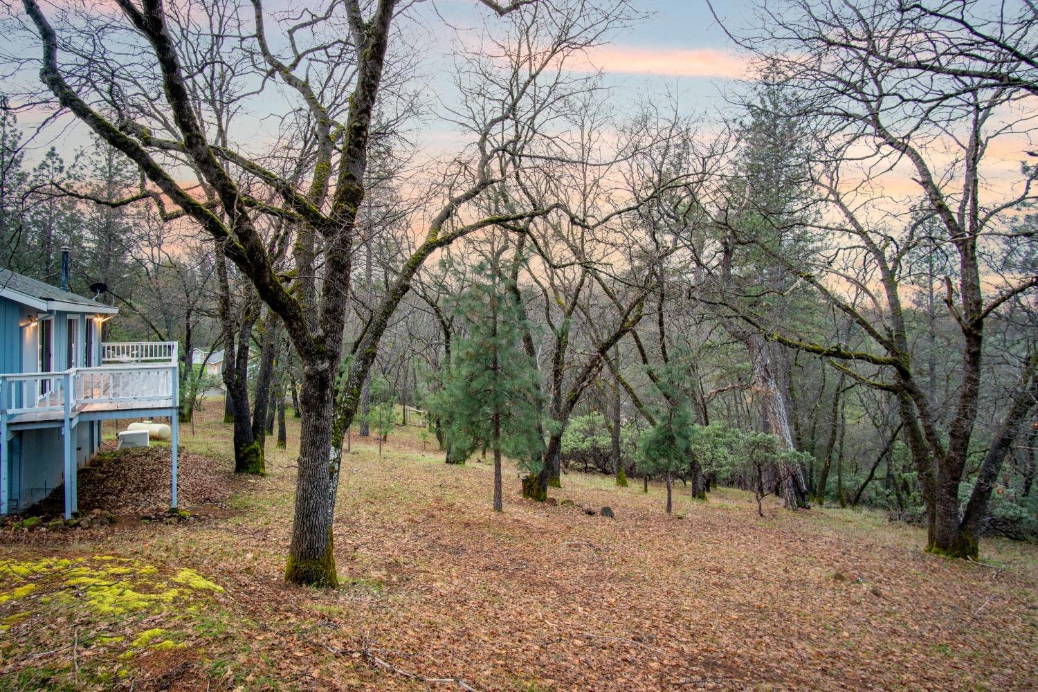 Pleasant Ridge Road, Colfax, California image 10