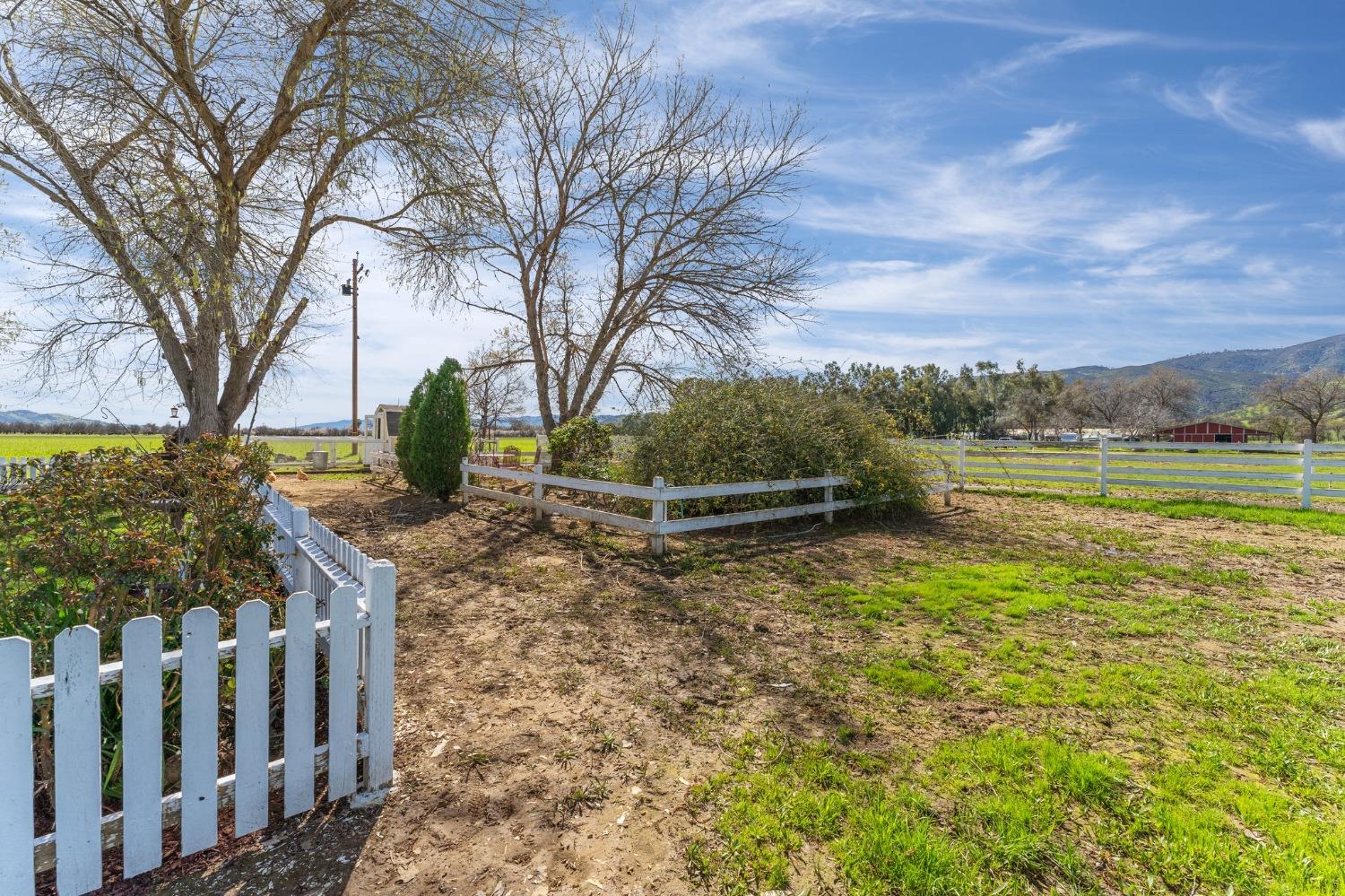 County Road 49, Guinda, California image 9