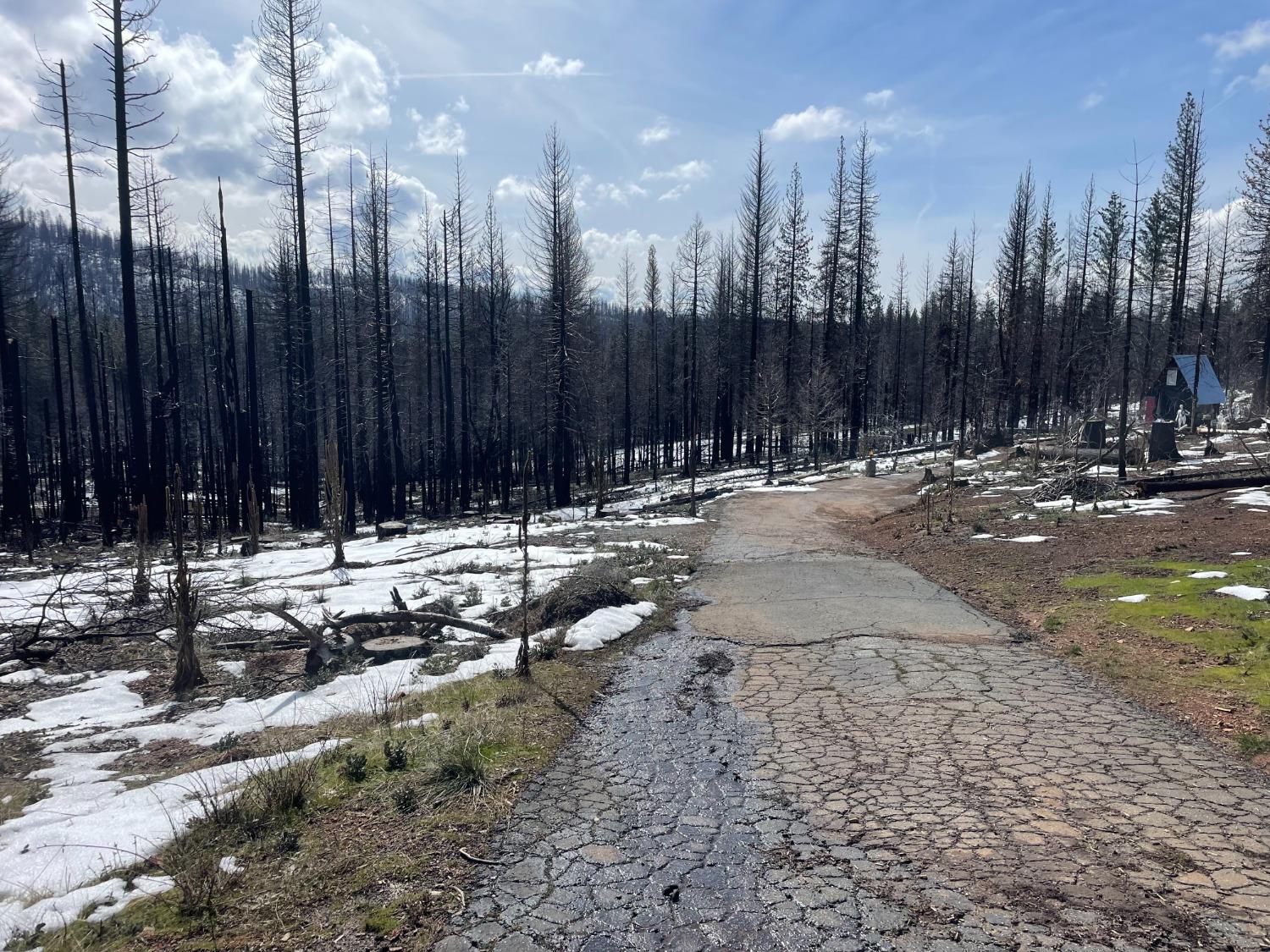 Grizzly Flat Road, Grizzly Flats, California image 3