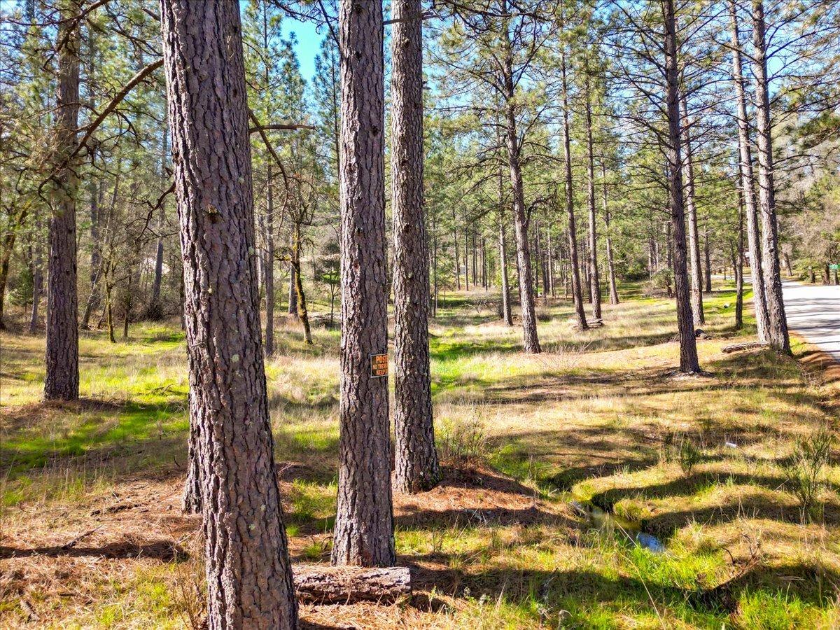 Detail Gallery Image 30 of 79 For 12787 Mystic Mine Rd, Nevada City,  CA 95959 - – Beds | – Baths