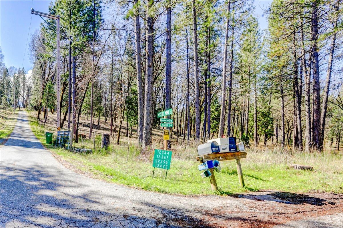 Detail Gallery Image 74 of 79 For 12787 Mystic Mine Rd, Nevada City,  CA 95959 - – Beds | – Baths