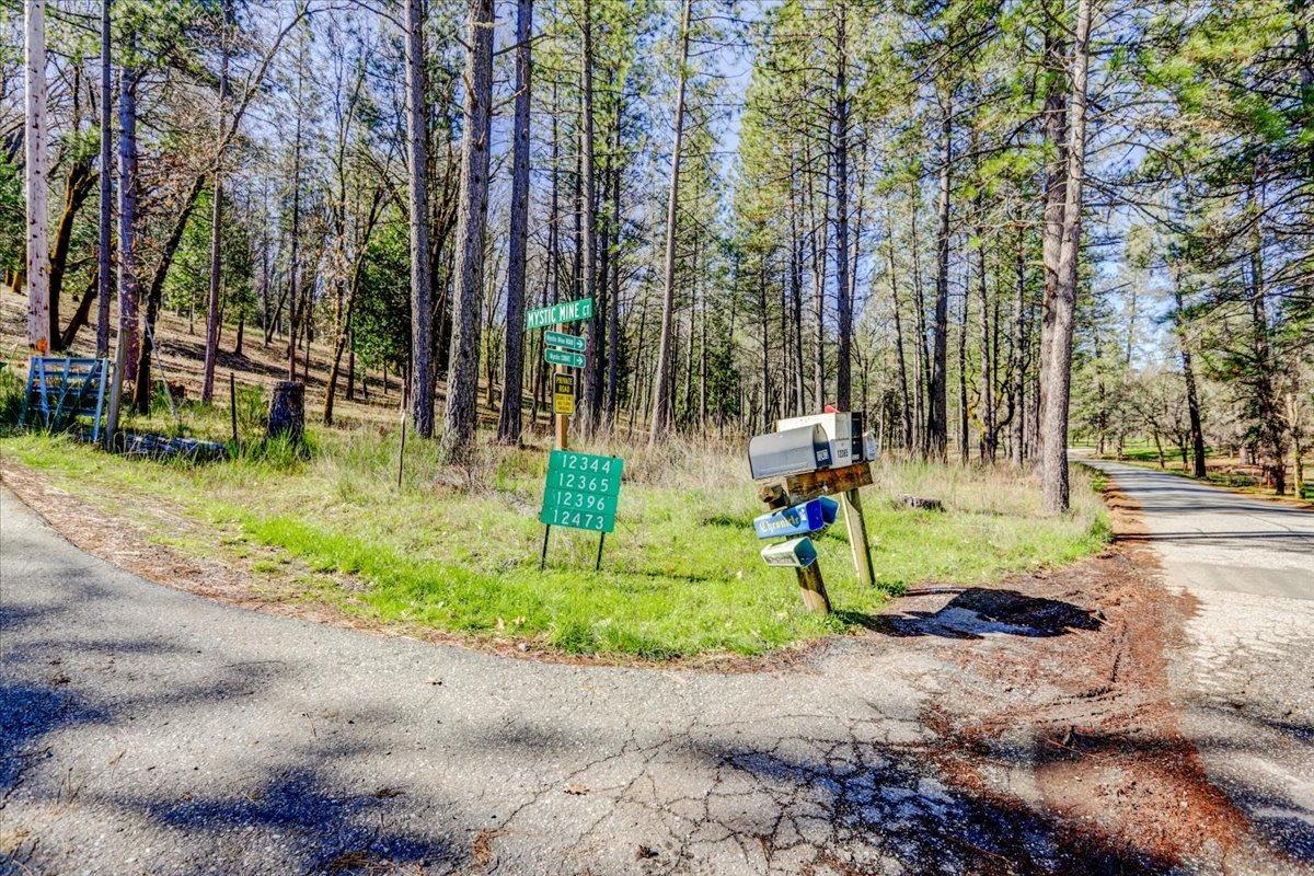 Detail Gallery Image 73 of 79 For 12787 Mystic Mine Rd, Nevada City,  CA 95959 - – Beds | – Baths