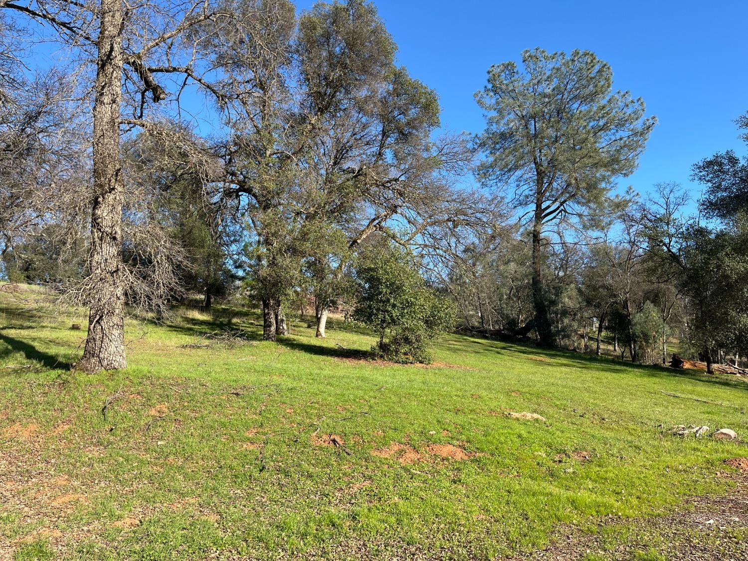 Photo of 23679-Lot 137 Eaglepoint Ct in Auburn, CA