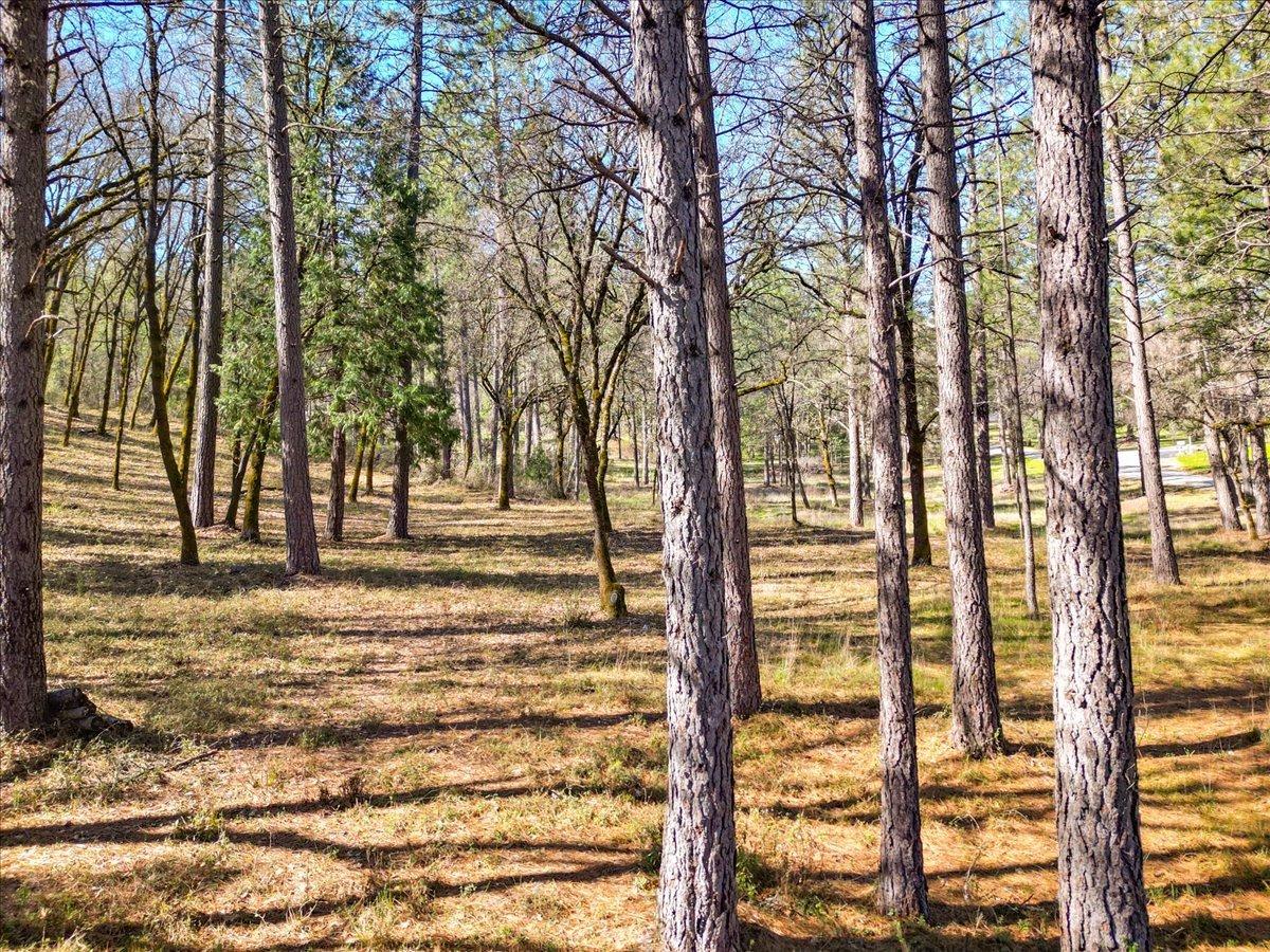 Detail Gallery Image 24 of 79 For 12787 Mystic Mine Rd, Nevada City,  CA 95959 - – Beds | – Baths