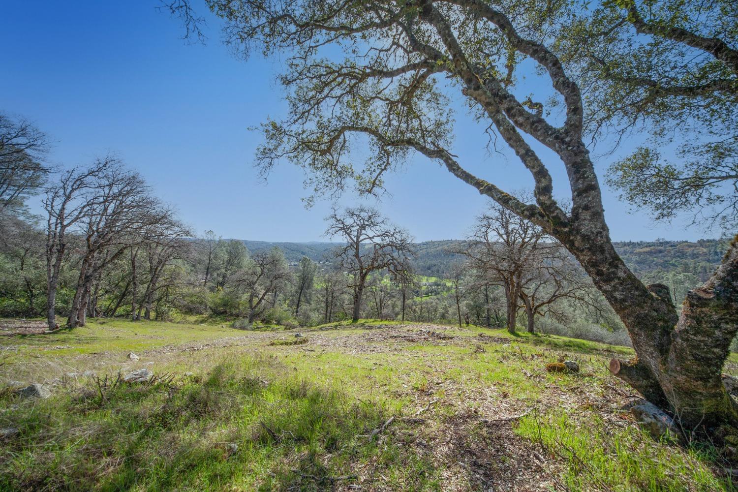 Detail Gallery Image 3 of 19 For 0 Gold Strike Dr, Placerville,  CA 95667 - – Beds | – Baths