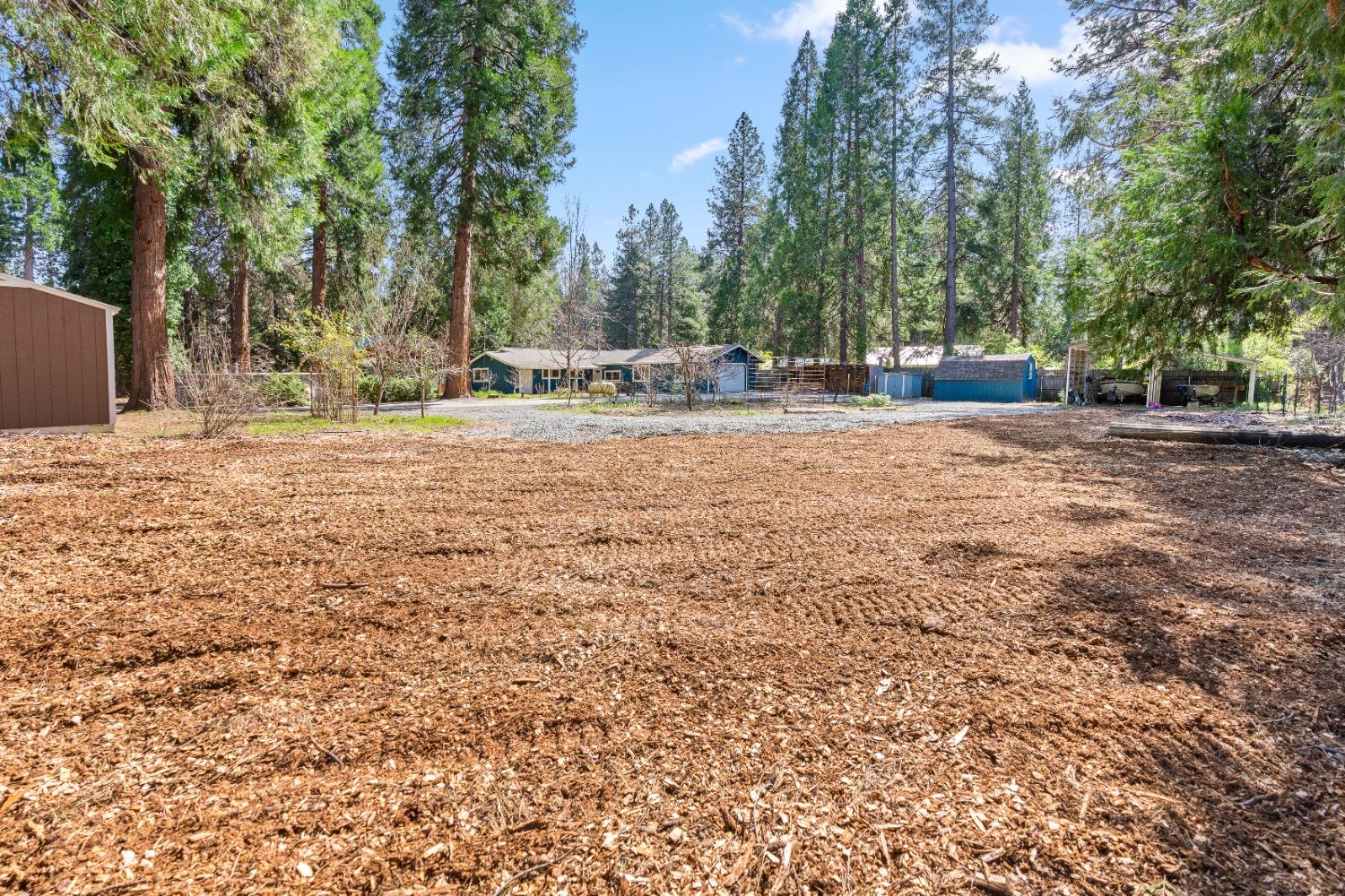 Detail Gallery Image 47 of 75 For 13015 Greenhorn Rd, Grass Valley,  CA 95945 - 3 Beds | 1 Baths