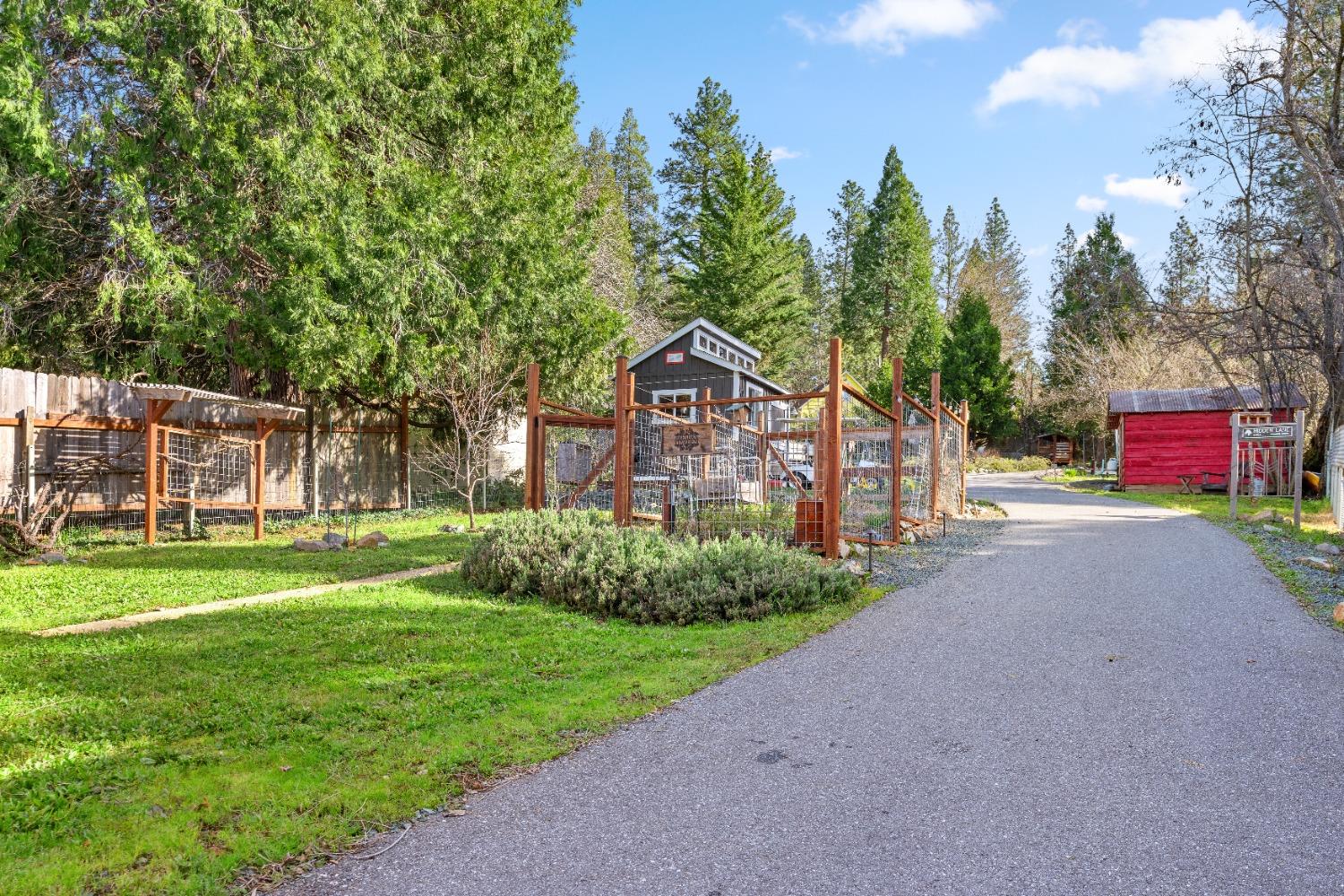 Detail Gallery Image 10 of 47 For 665 S Auburn, Grass Valley,  CA 95945 - 2 Beds | 1 Baths