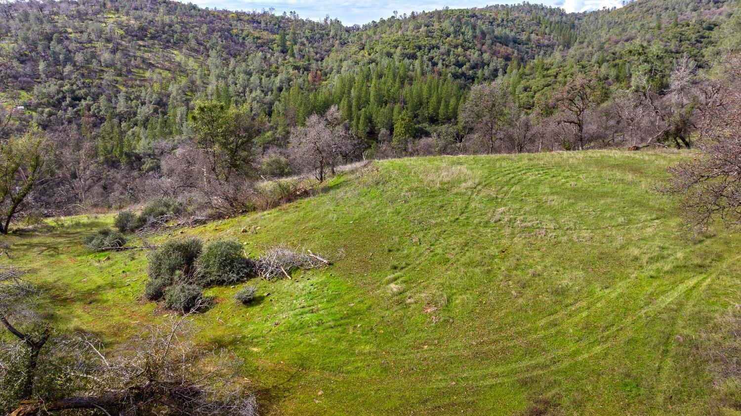 Eagle Nest Way, Oregon House, California image 8