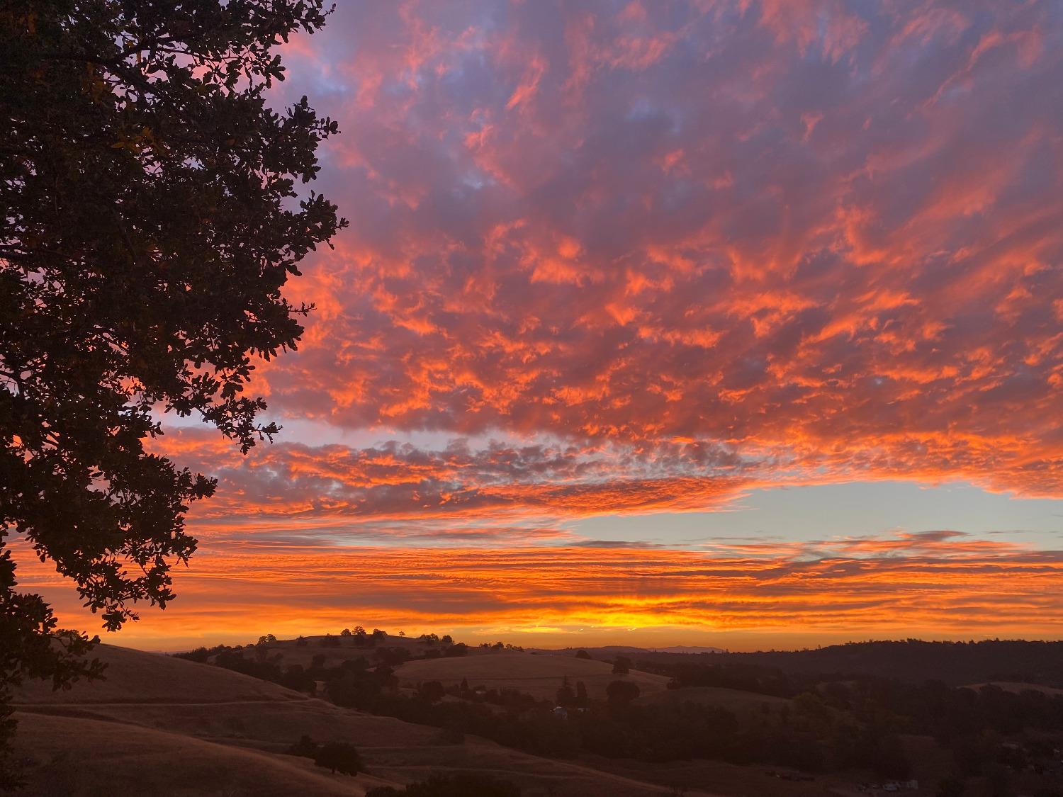 California, Sutter Creek, California image 46