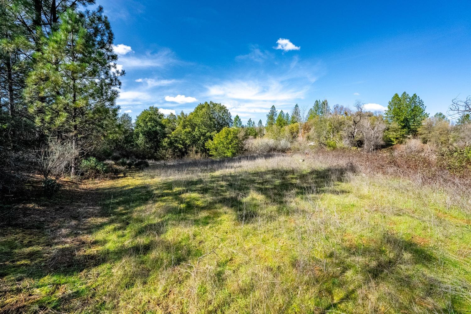 Detail Gallery Image 32 of 33 For 1000 Story Ln, Placerville,  CA 95667 - – Beds | – Baths