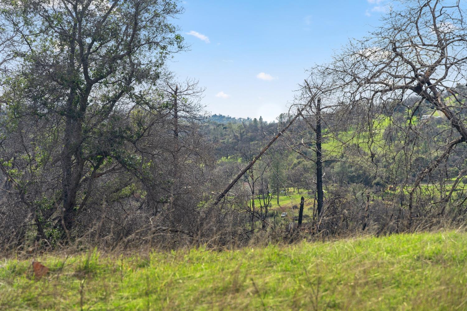 Eagle Nest Way, Oregon House, California image 48