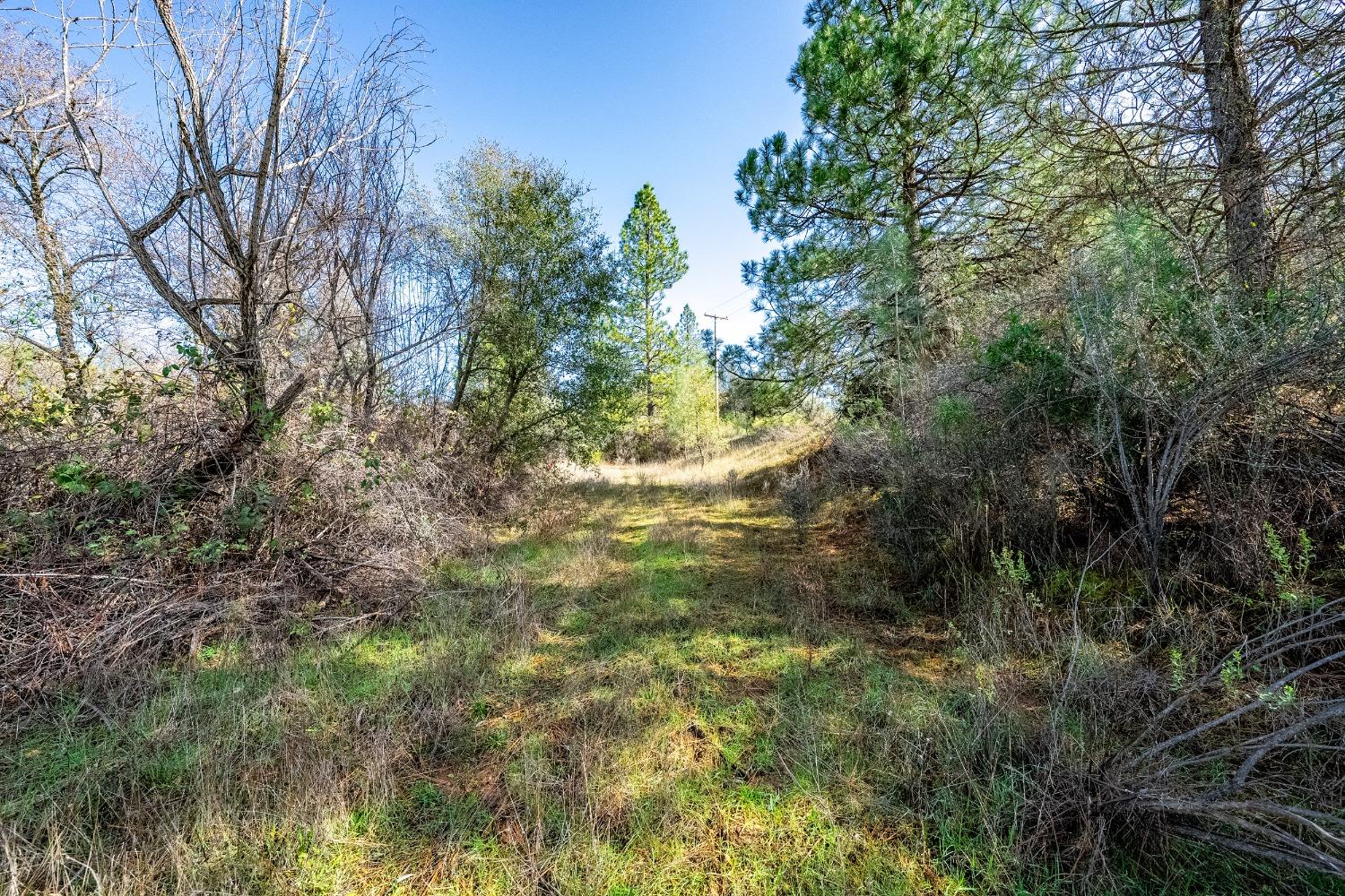 Detail Gallery Image 31 of 33 For 1000 Story Ln, Placerville,  CA 95667 - – Beds | – Baths