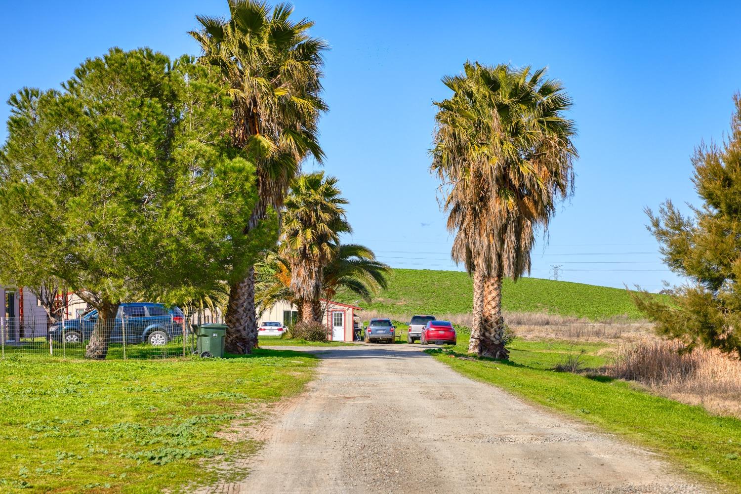 Kelso Road, Byron, California image 24