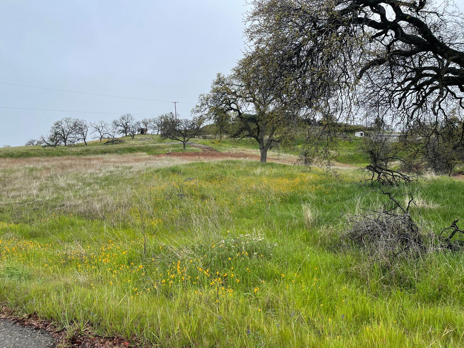 Veredita Street, La Grange, California image 15