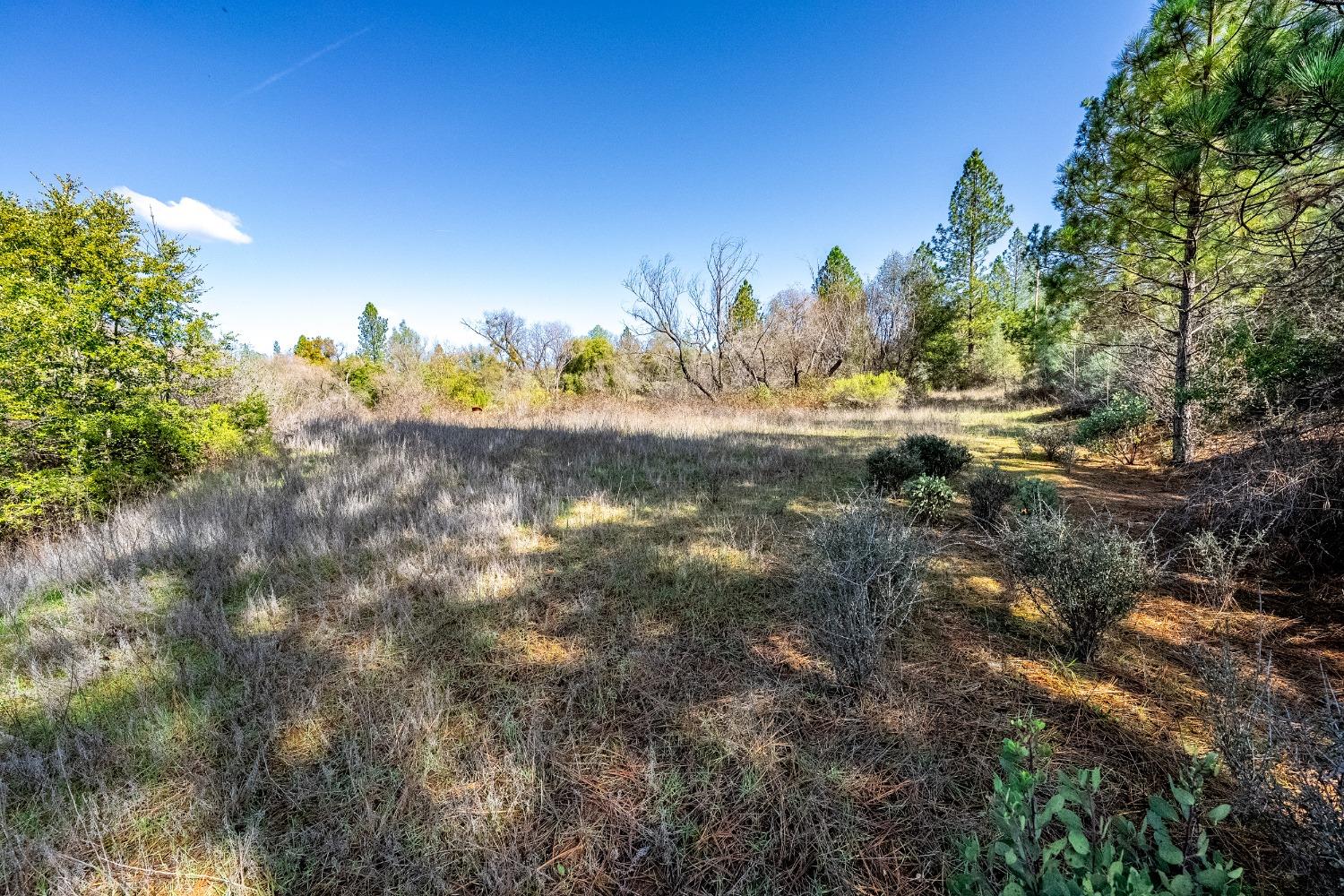 Detail Gallery Image 33 of 33 For 1000 Story Ln, Placerville,  CA 95667 - – Beds | – Baths