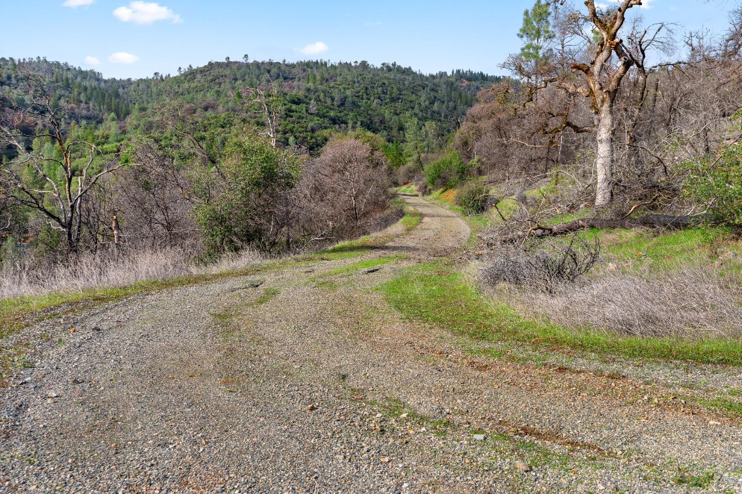 Eagle Nest Way, Oregon House, California image 47