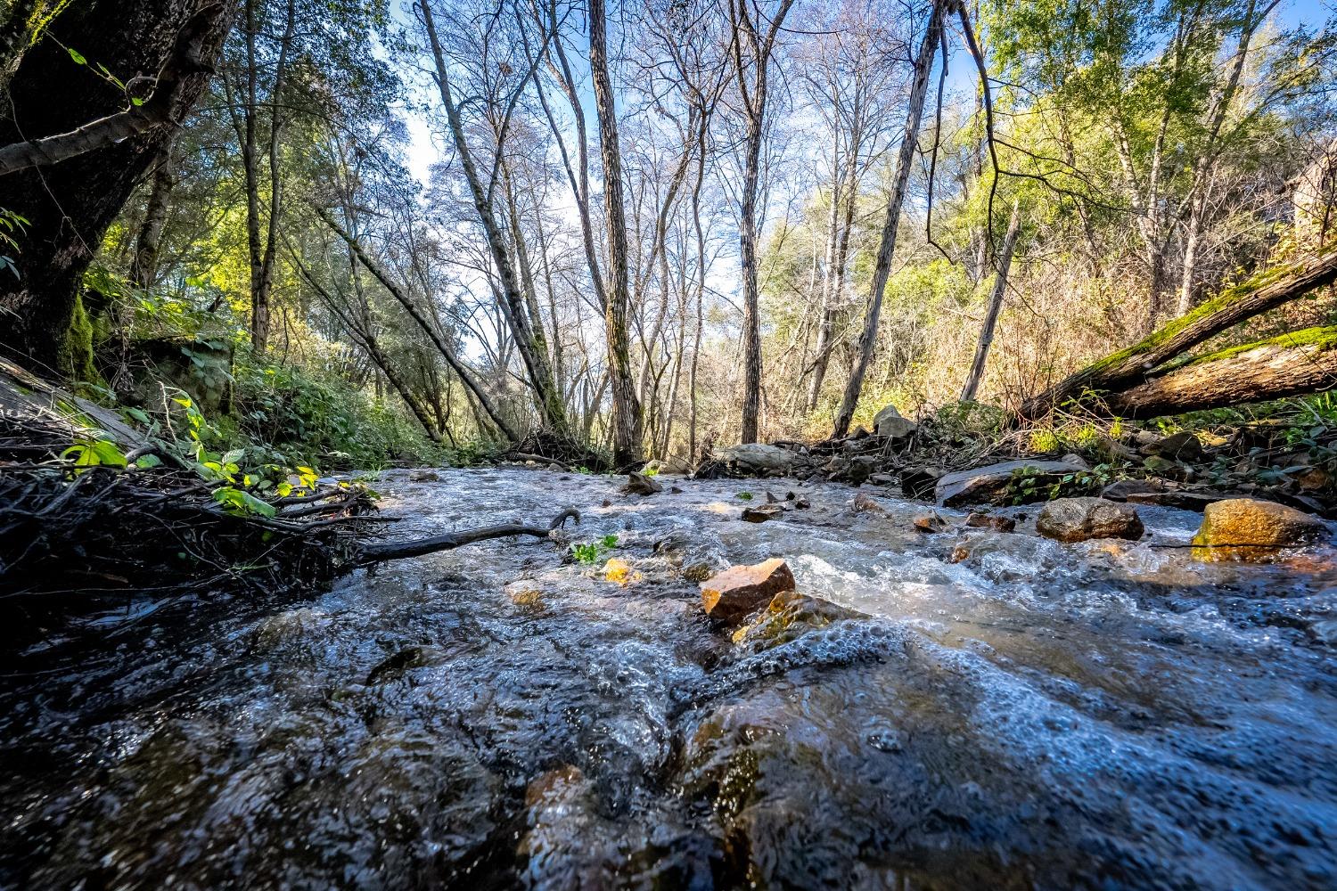 Detail Gallery Image 30 of 33 For 1000 Story Ln, Placerville,  CA 95667 - – Beds | – Baths