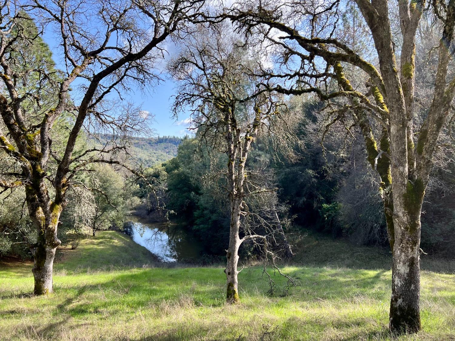 Photo of 26-Acres Cedar Pines Dr in Fiddletown, CA