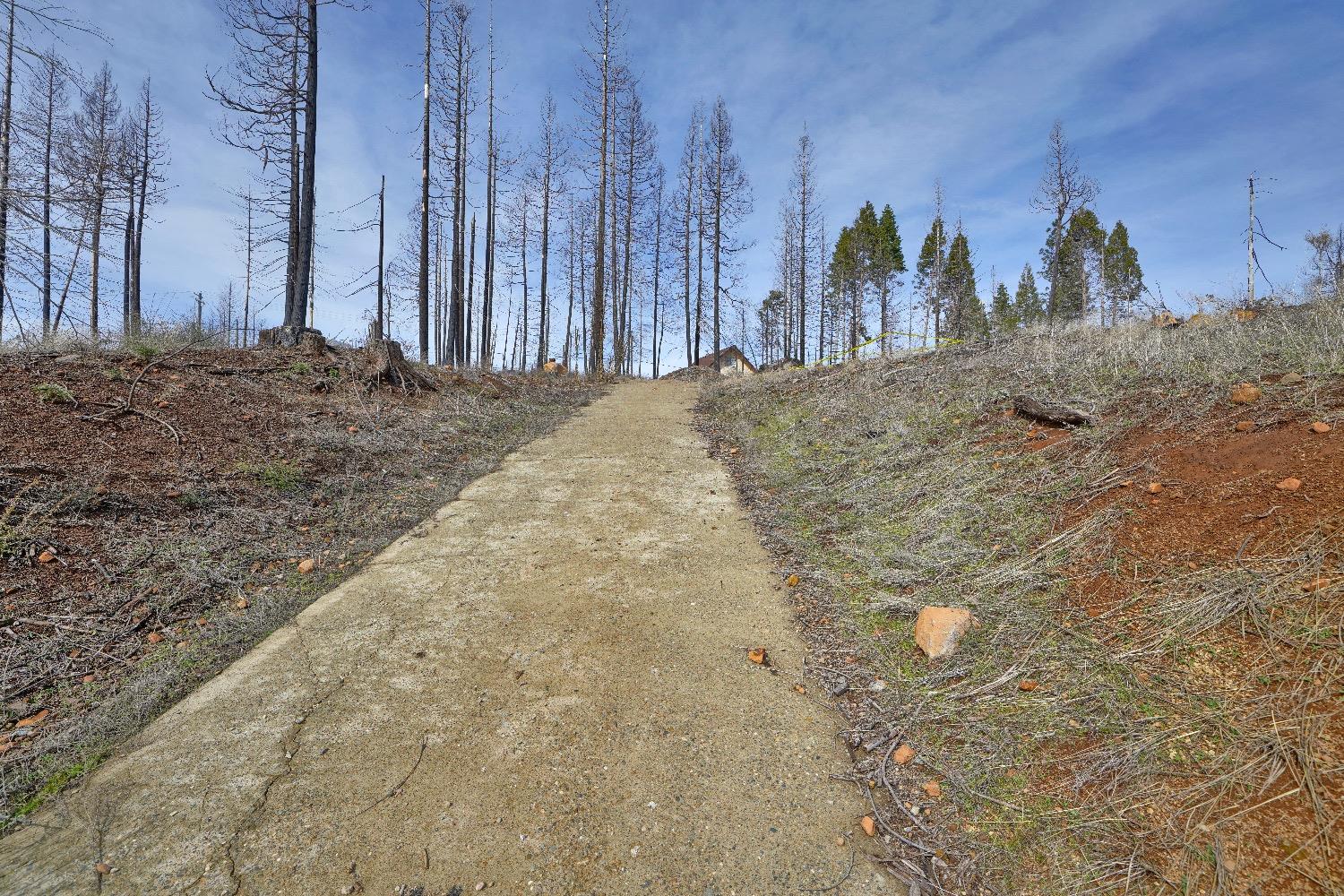 Sciaroni Road, Grizzly Flats, California image 8