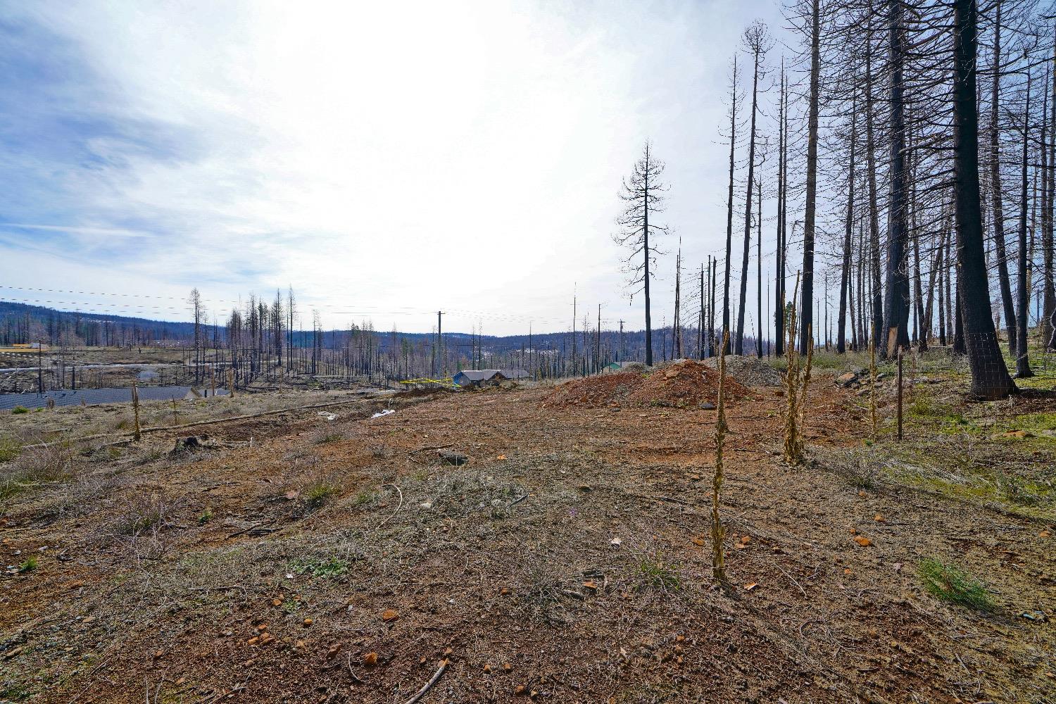 Sciaroni Road, Grizzly Flats, California image 2