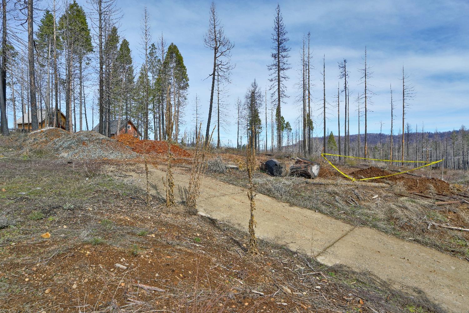 Sciaroni Road, Grizzly Flats, California image 7