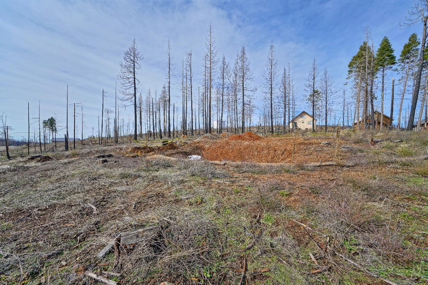 Sciaroni Road, Grizzly Flats, California image 3