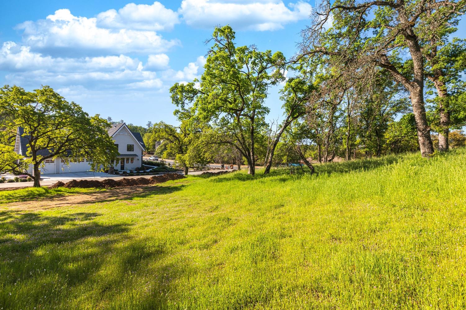 Camino Verdera, Lincoln, California image 4