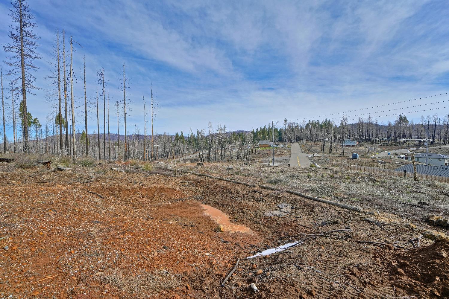 Sciaroni Road, Grizzly Flats, California image 4