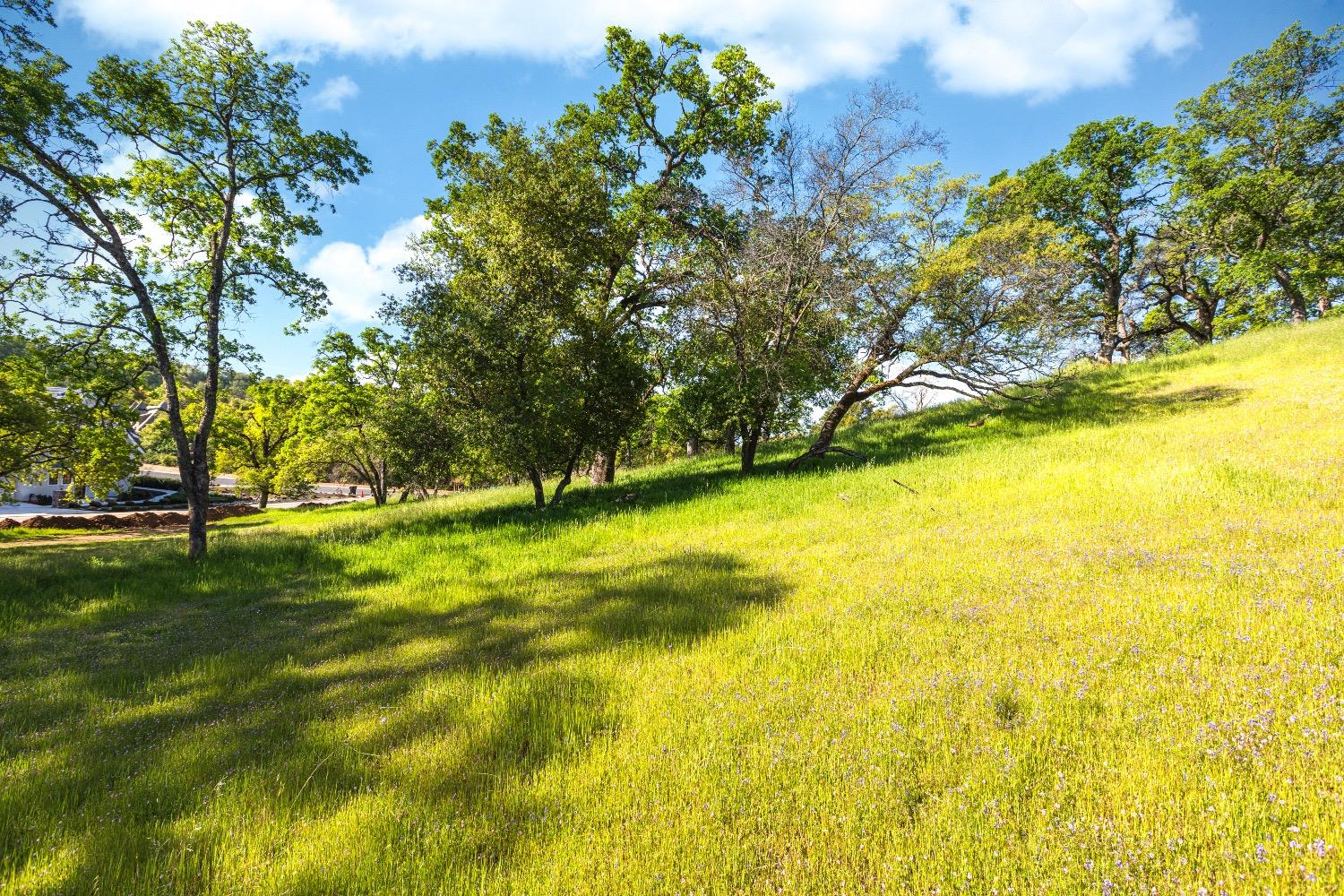 Camino Verdera, Lincoln, California image 7