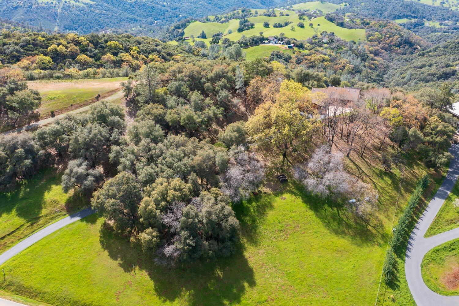 Detail Gallery Image 42 of 56 For 8775 Lauren Ln, Jackson,  CA 95642 - 3 Beds | 2 Baths