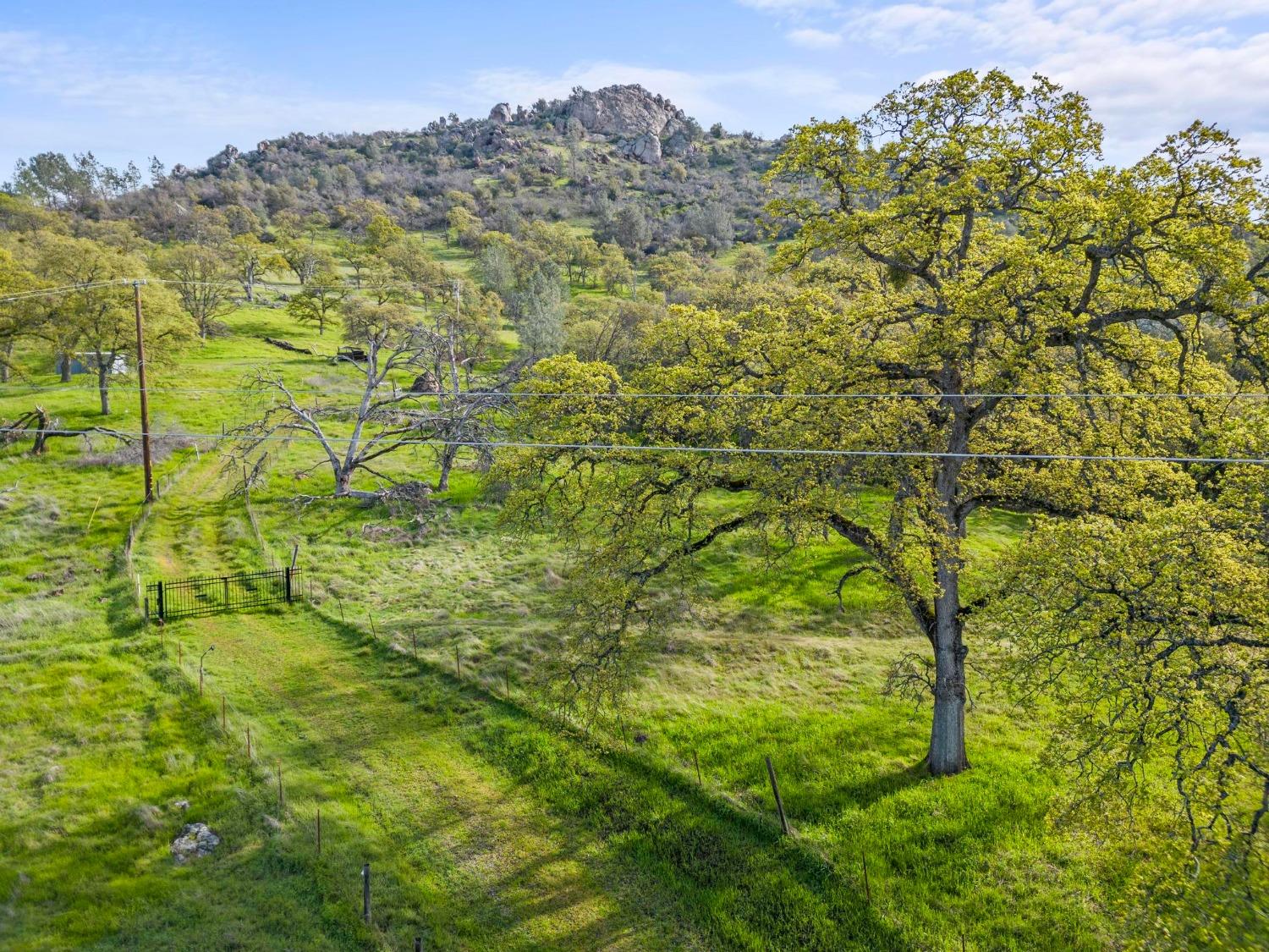 Dawn Drive, Loma Rica, California image 3