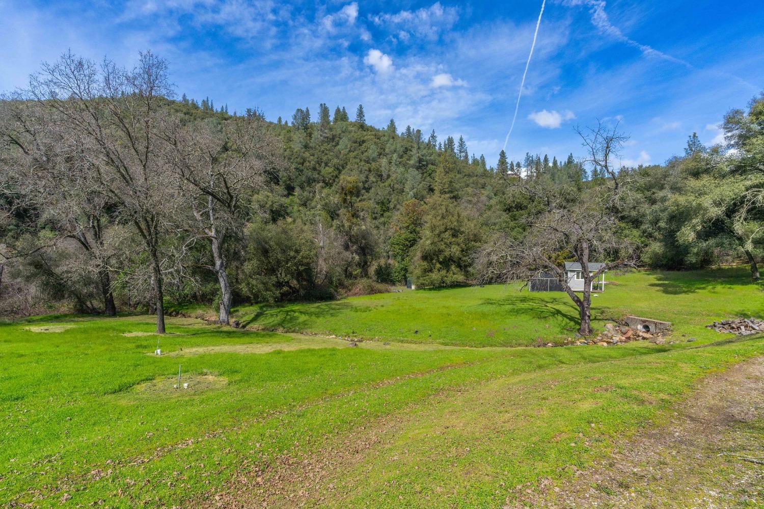 Valley Bottom Road, Sutter Creek, California image 3