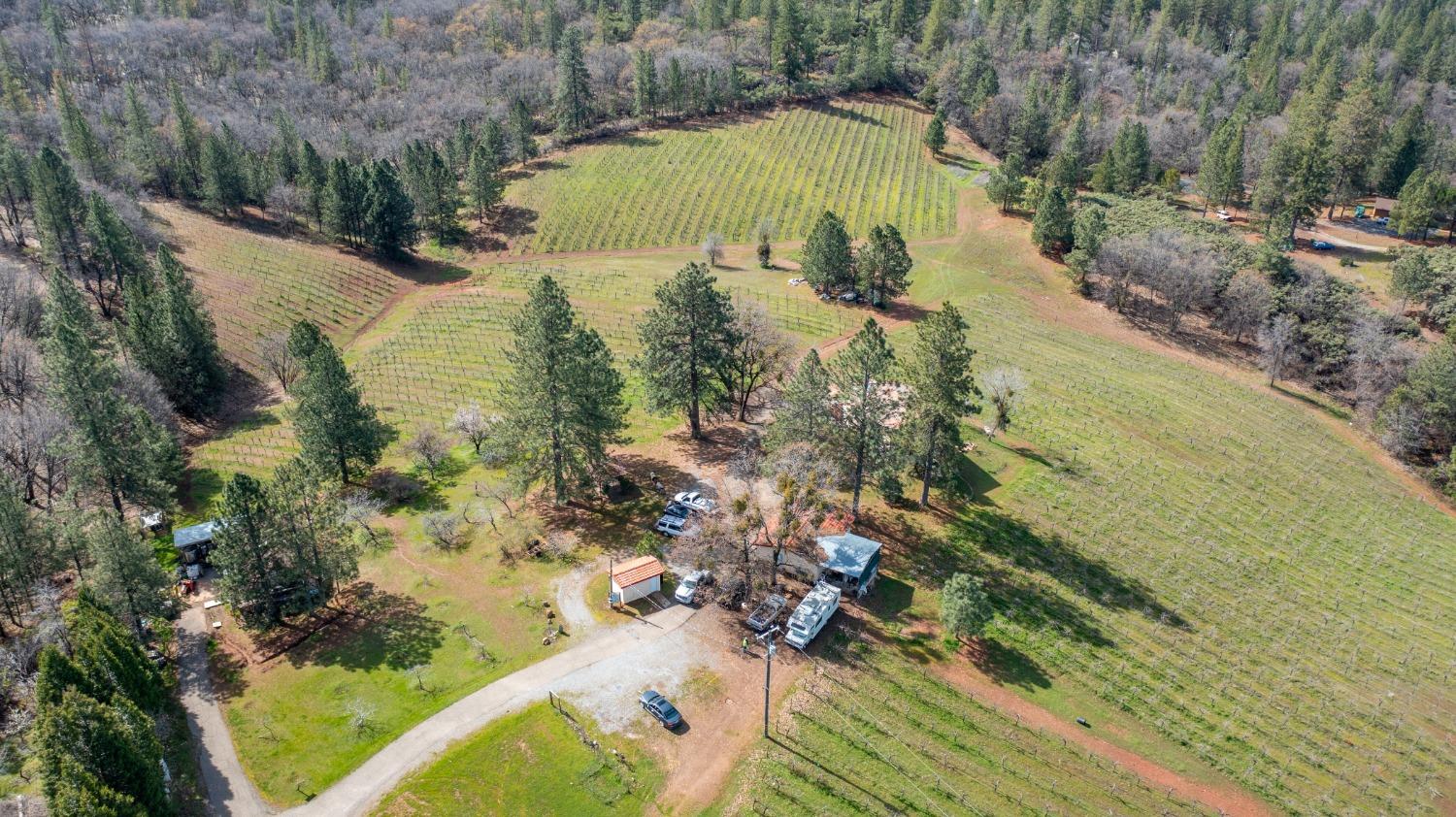 Photo of 4771 Greenhills Rd in Placerville, CA